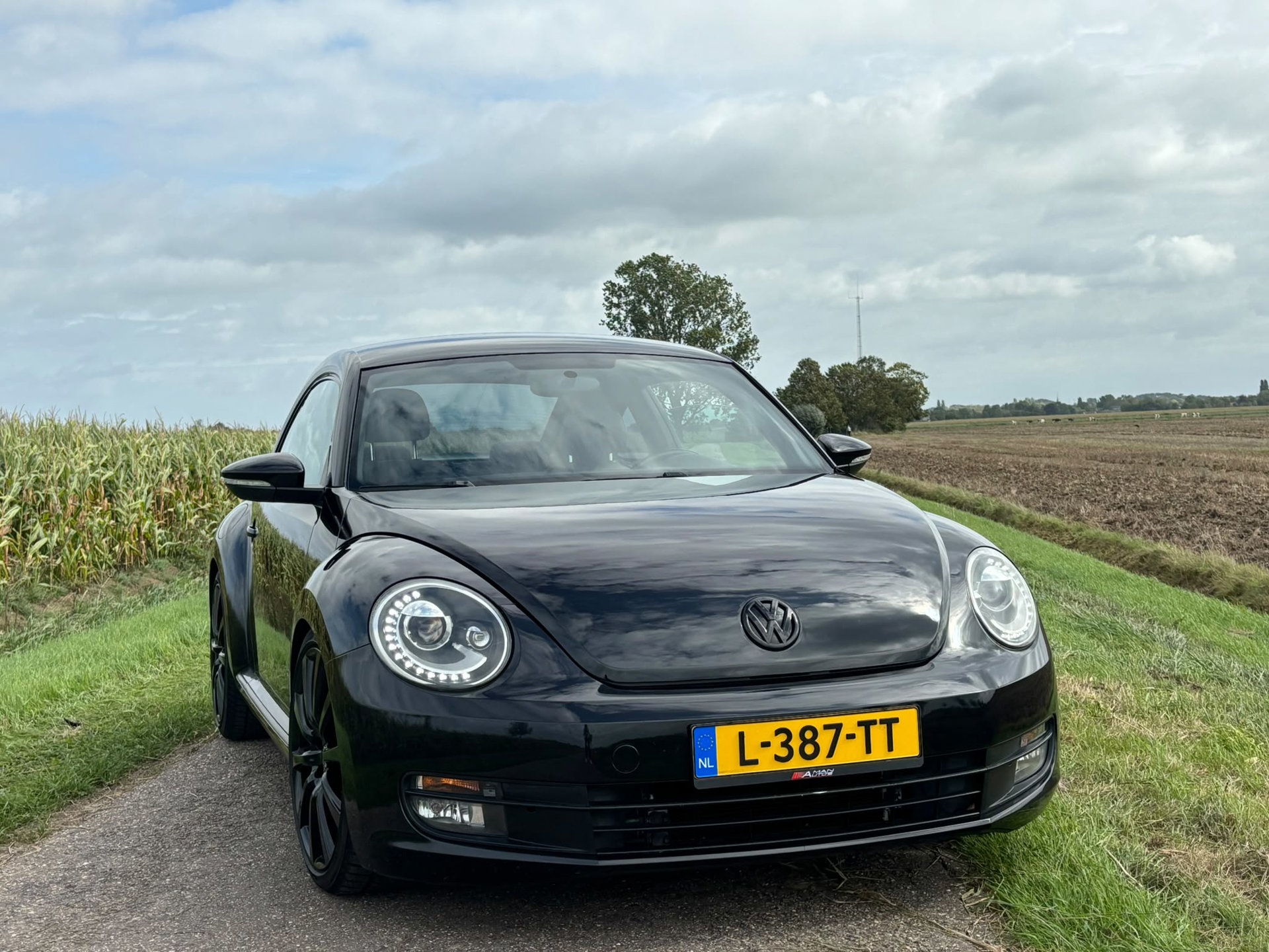 Foto van Volkswagen Beetle