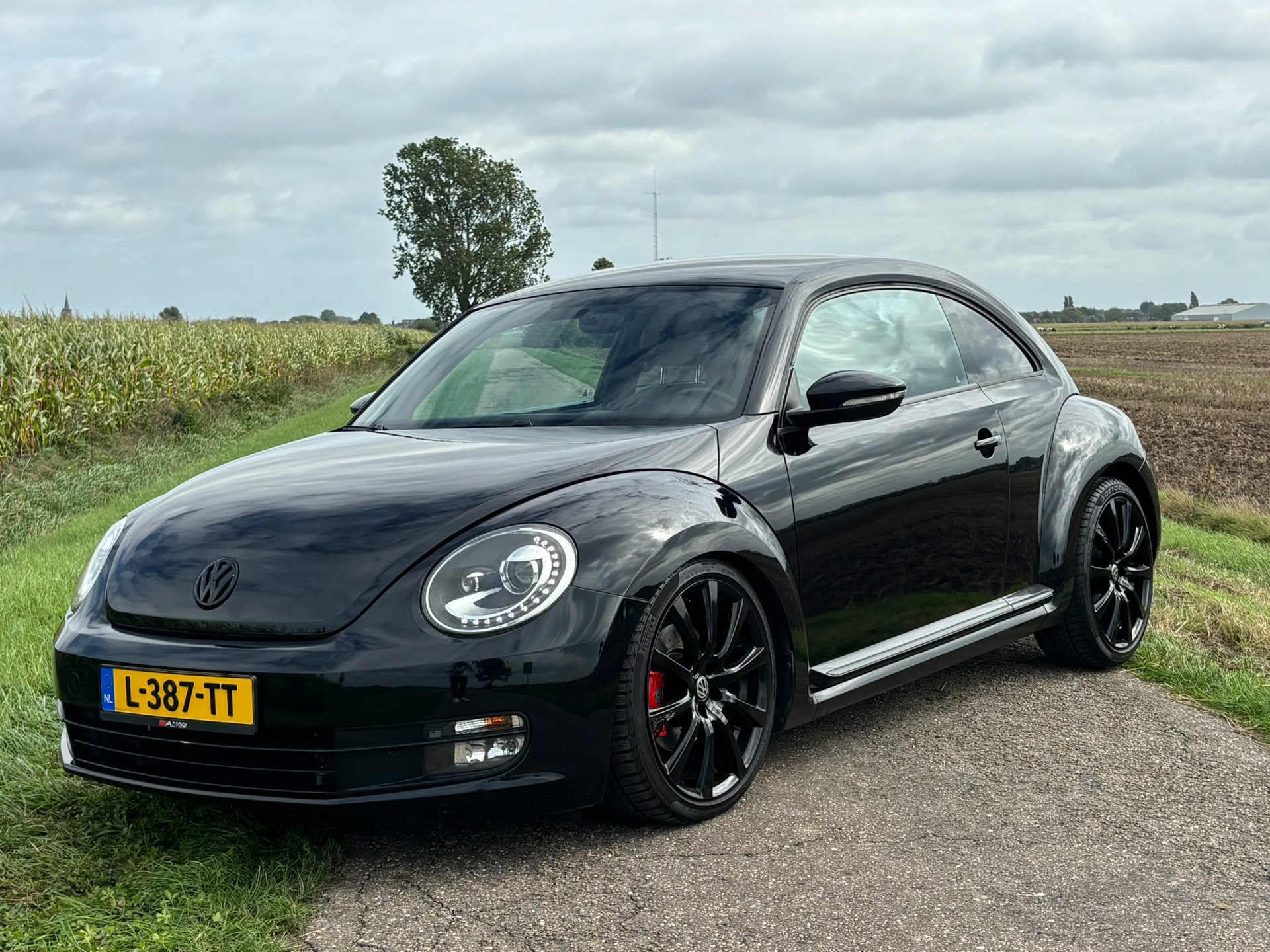 Foto van Volkswagen Beetle