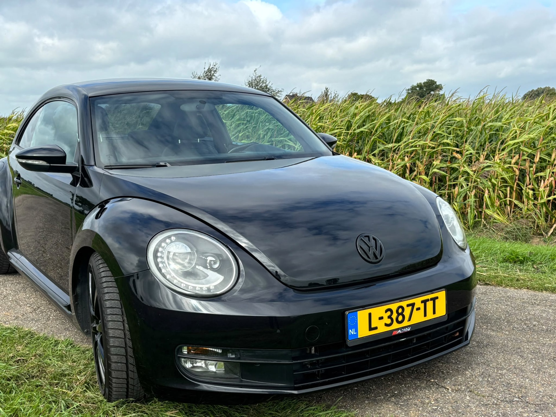 Foto van Volkswagen Beetle