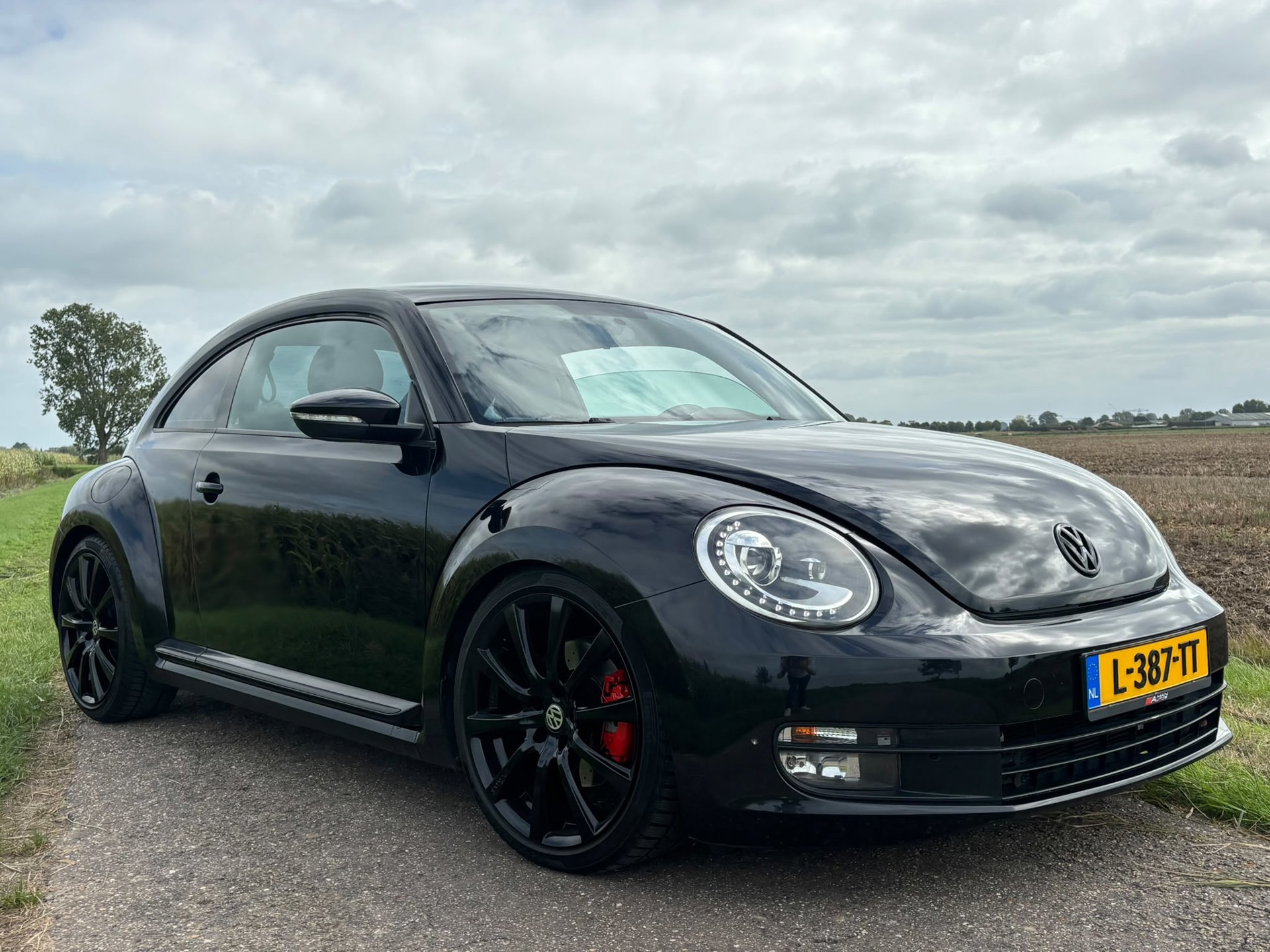 Foto van Volkswagen Beetle