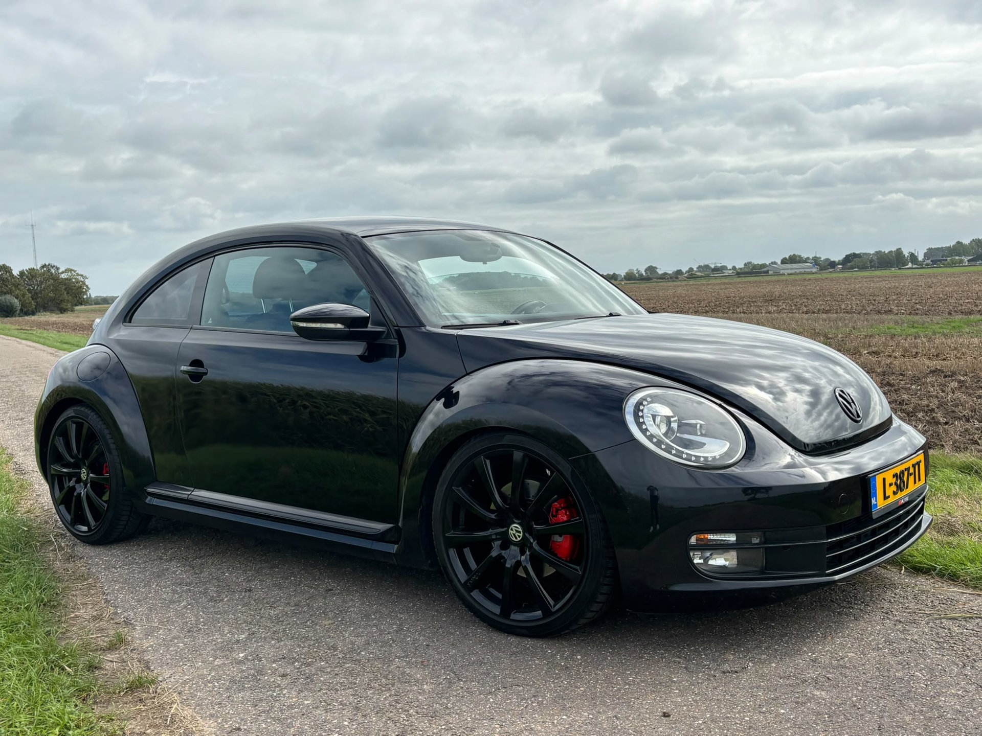 Foto van Volkswagen Beetle