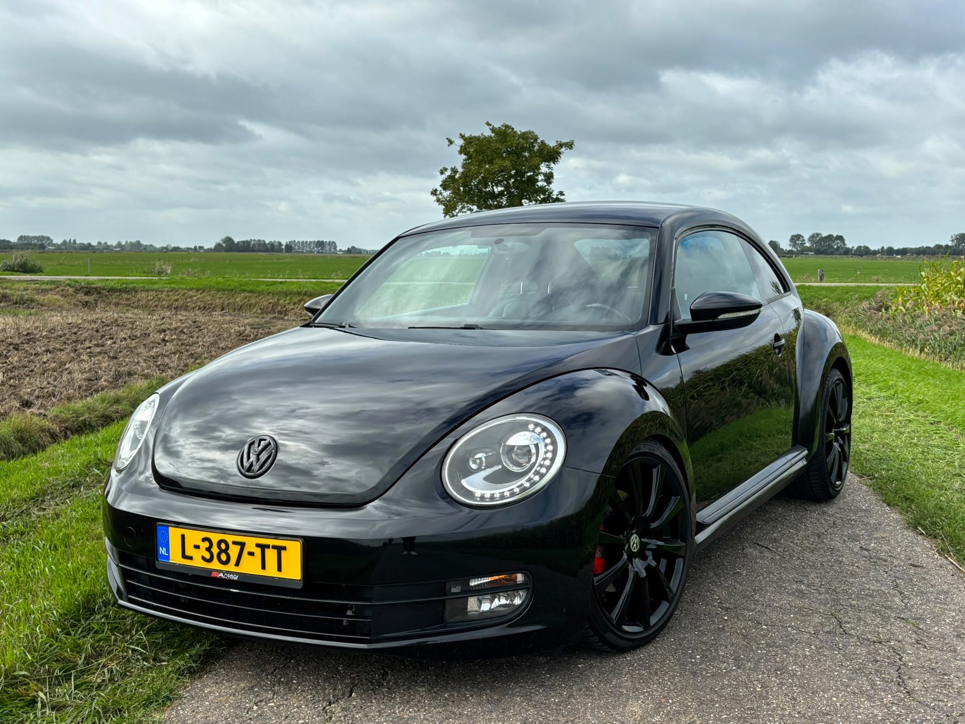 Foto van Volkswagen Beetle