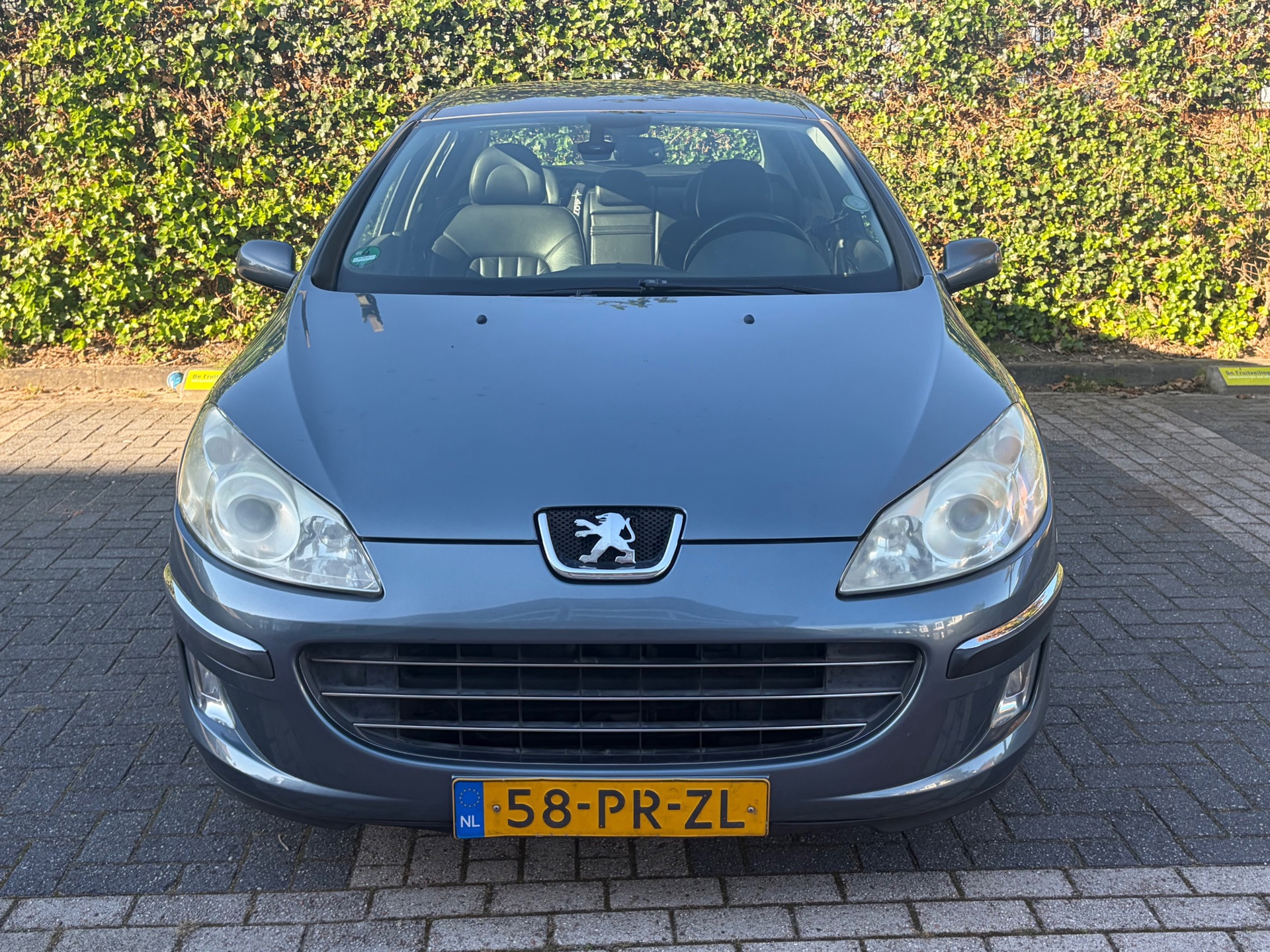Foto van Peugeot 407