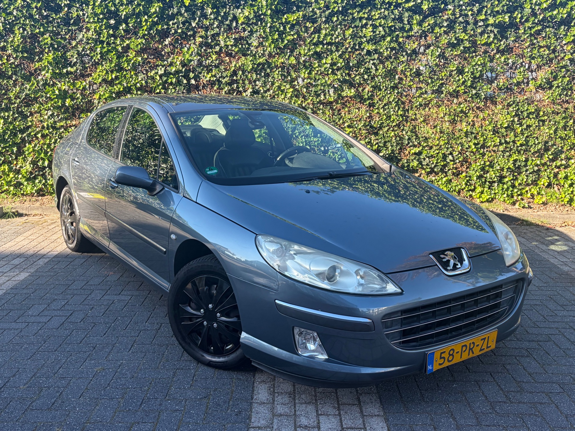 Foto van Peugeot 407