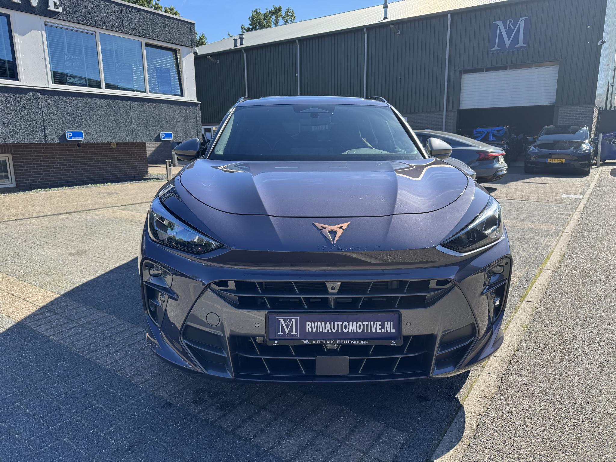 Foto van Cupra Terramar