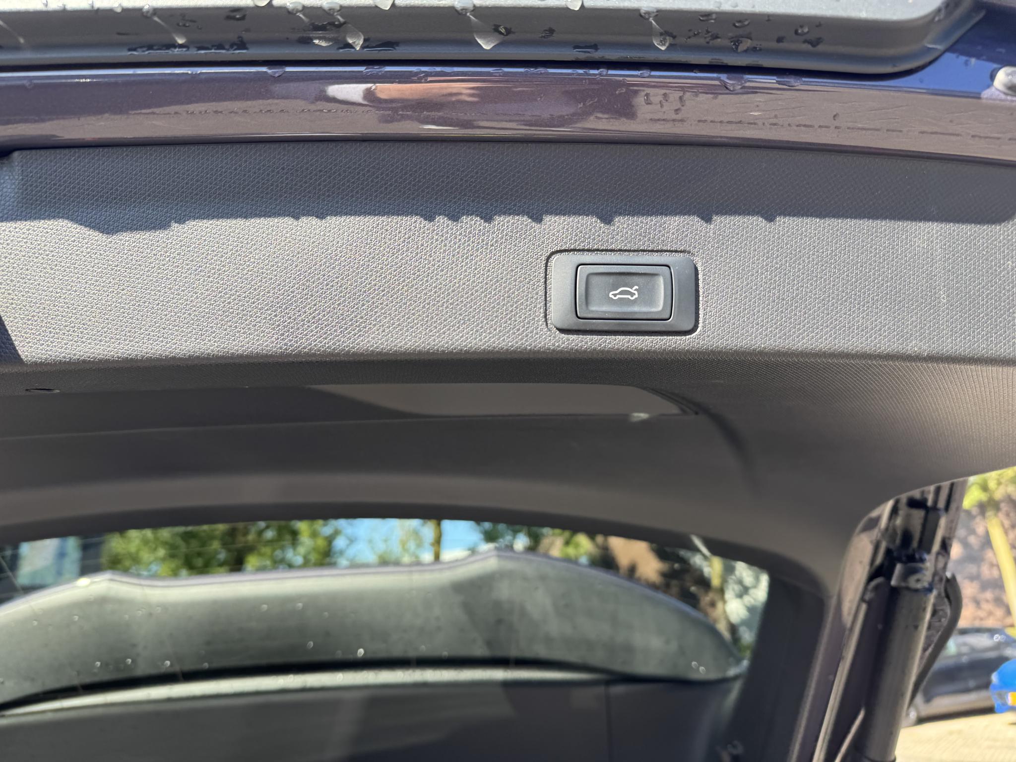 Foto van Cupra Terramar