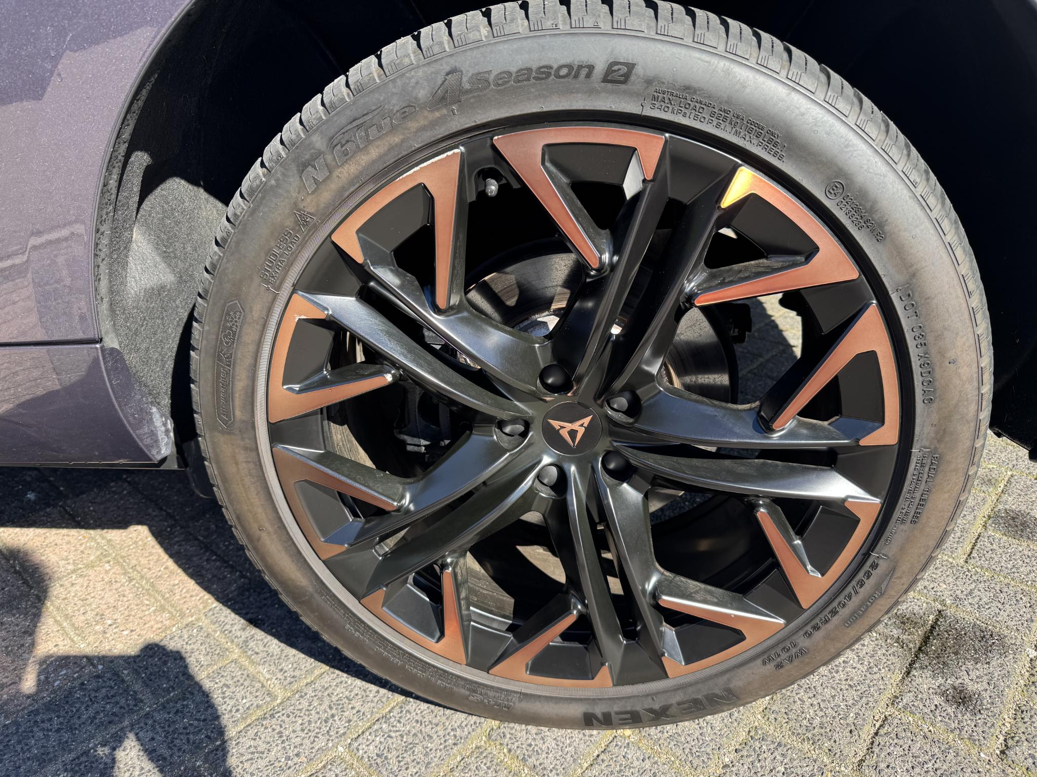Foto van Cupra Terramar