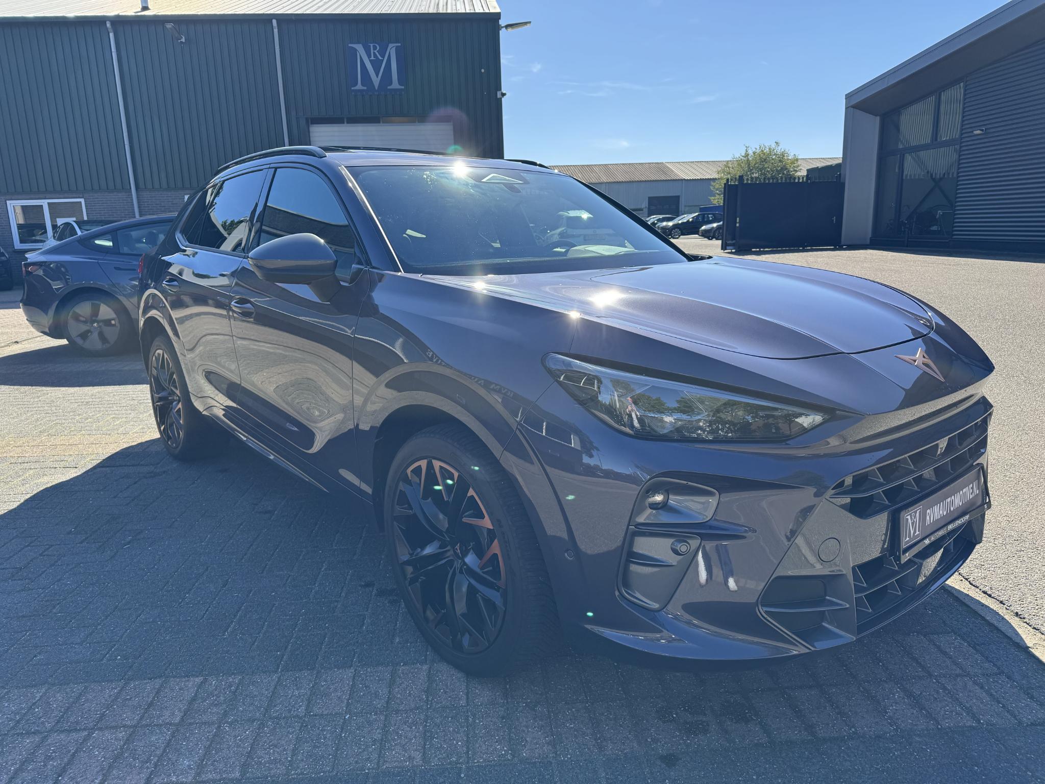 Foto van Cupra Terramar