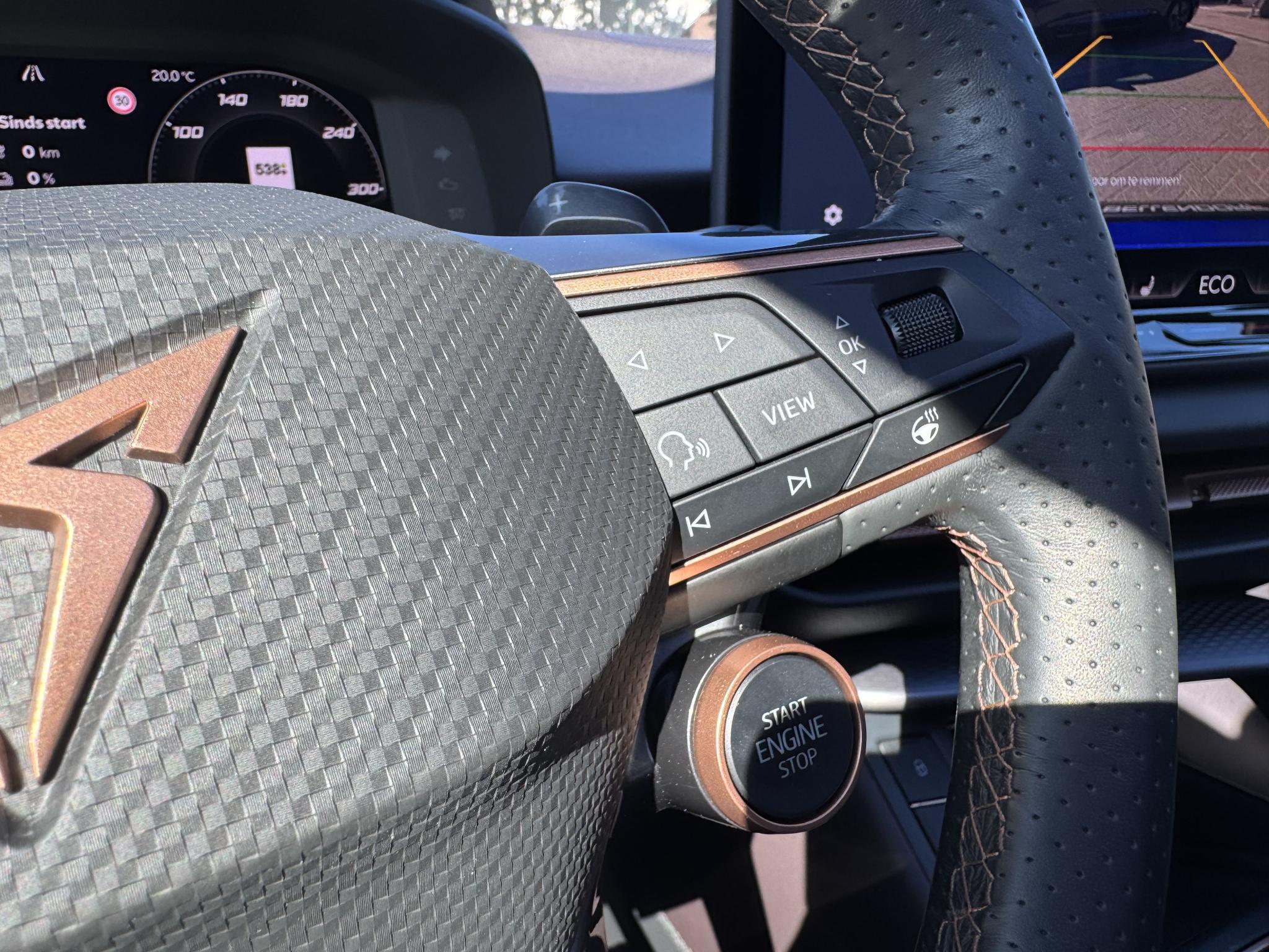 Foto van Cupra Terramar