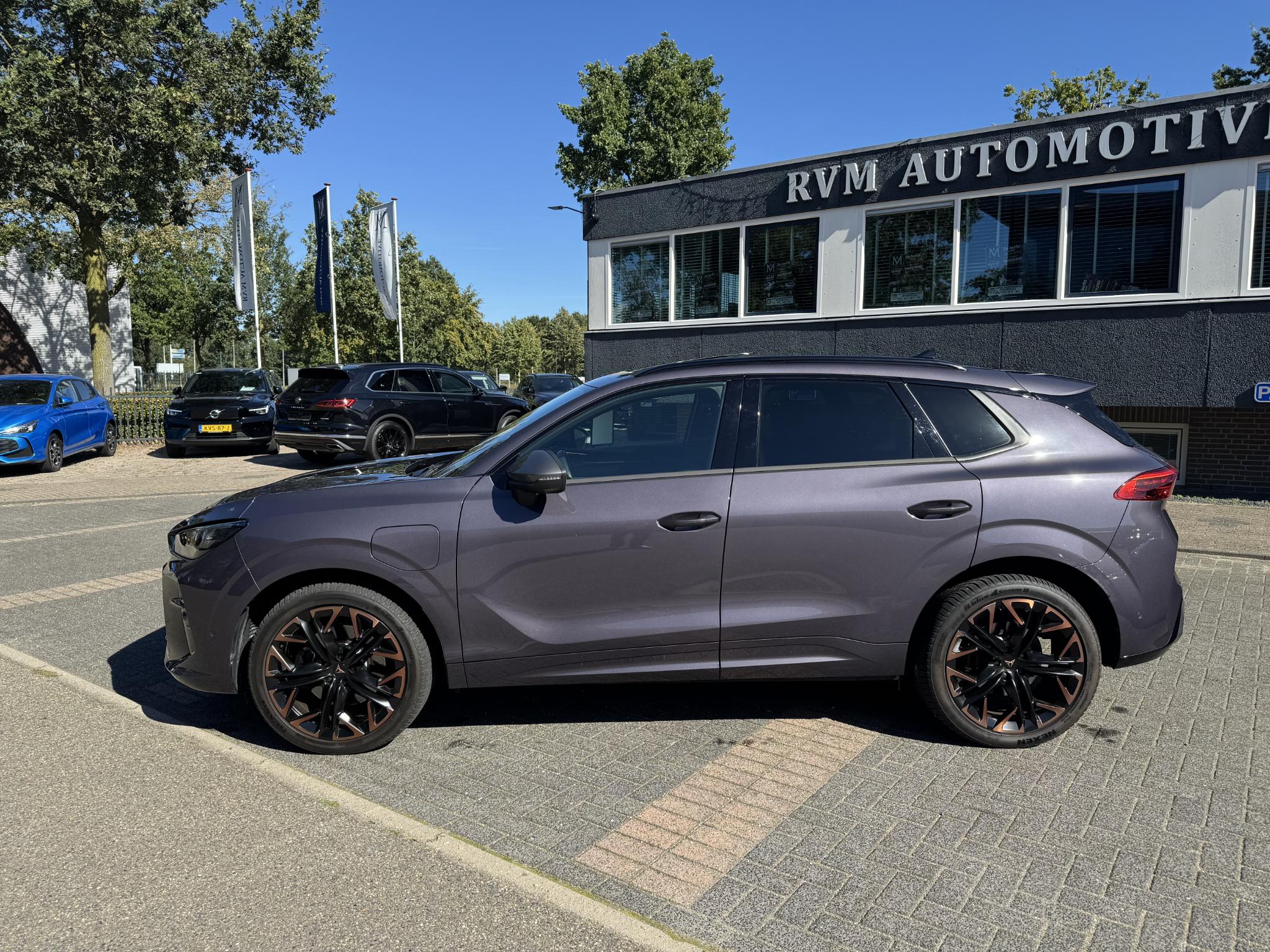 Foto van Cupra Terramar