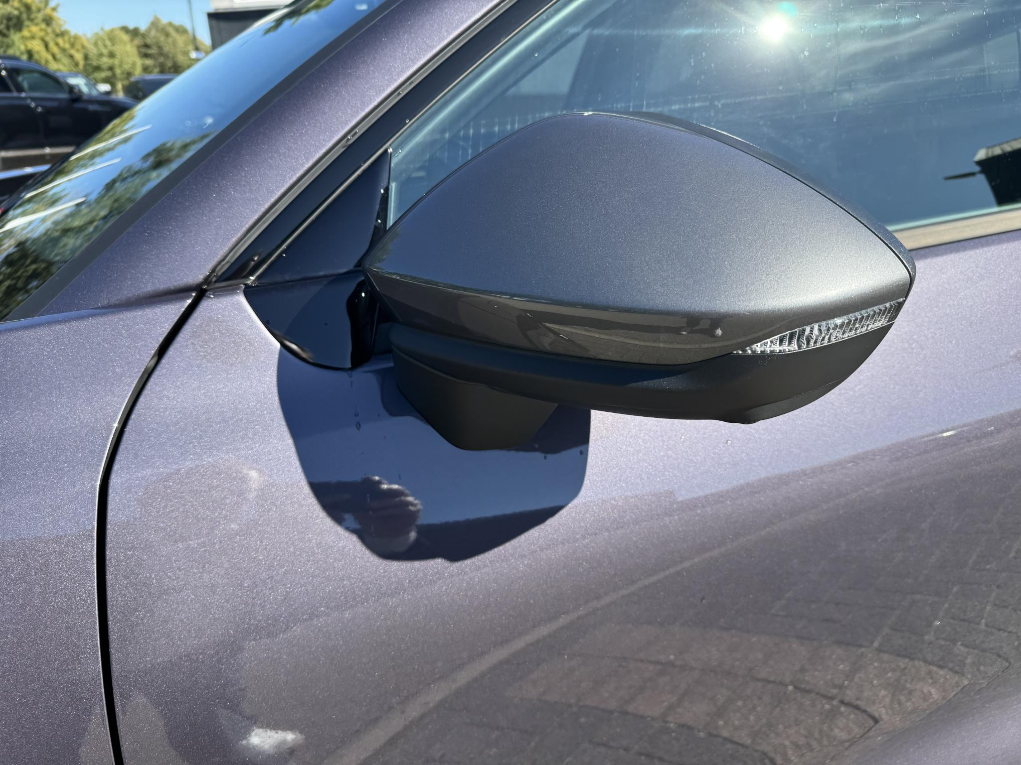 Foto van Cupra Terramar