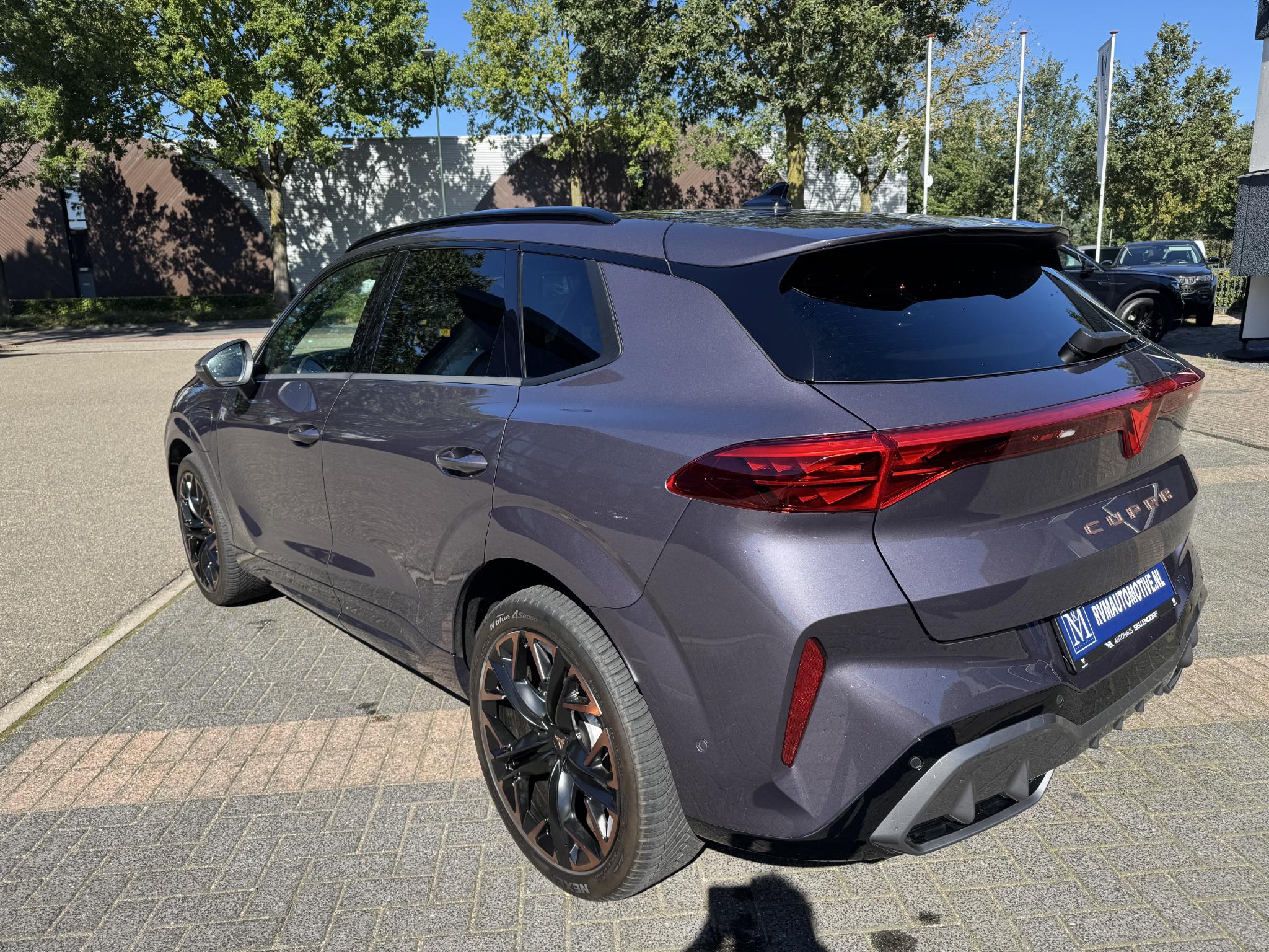 Foto van Cupra Terramar