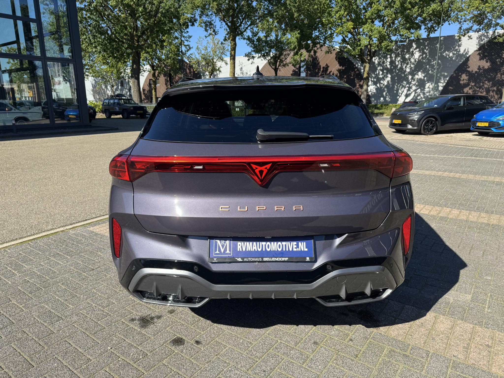 Foto van Cupra Terramar