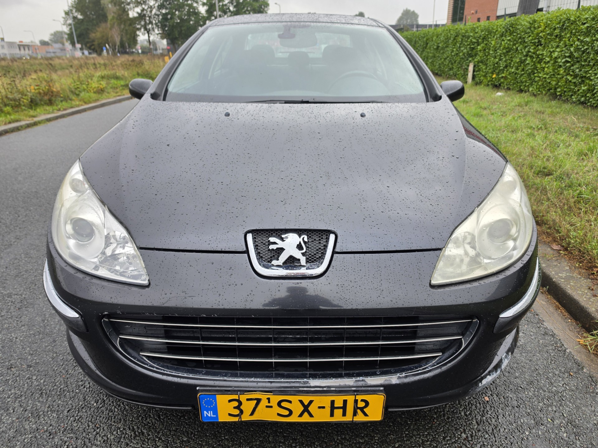 Foto van Peugeot 407