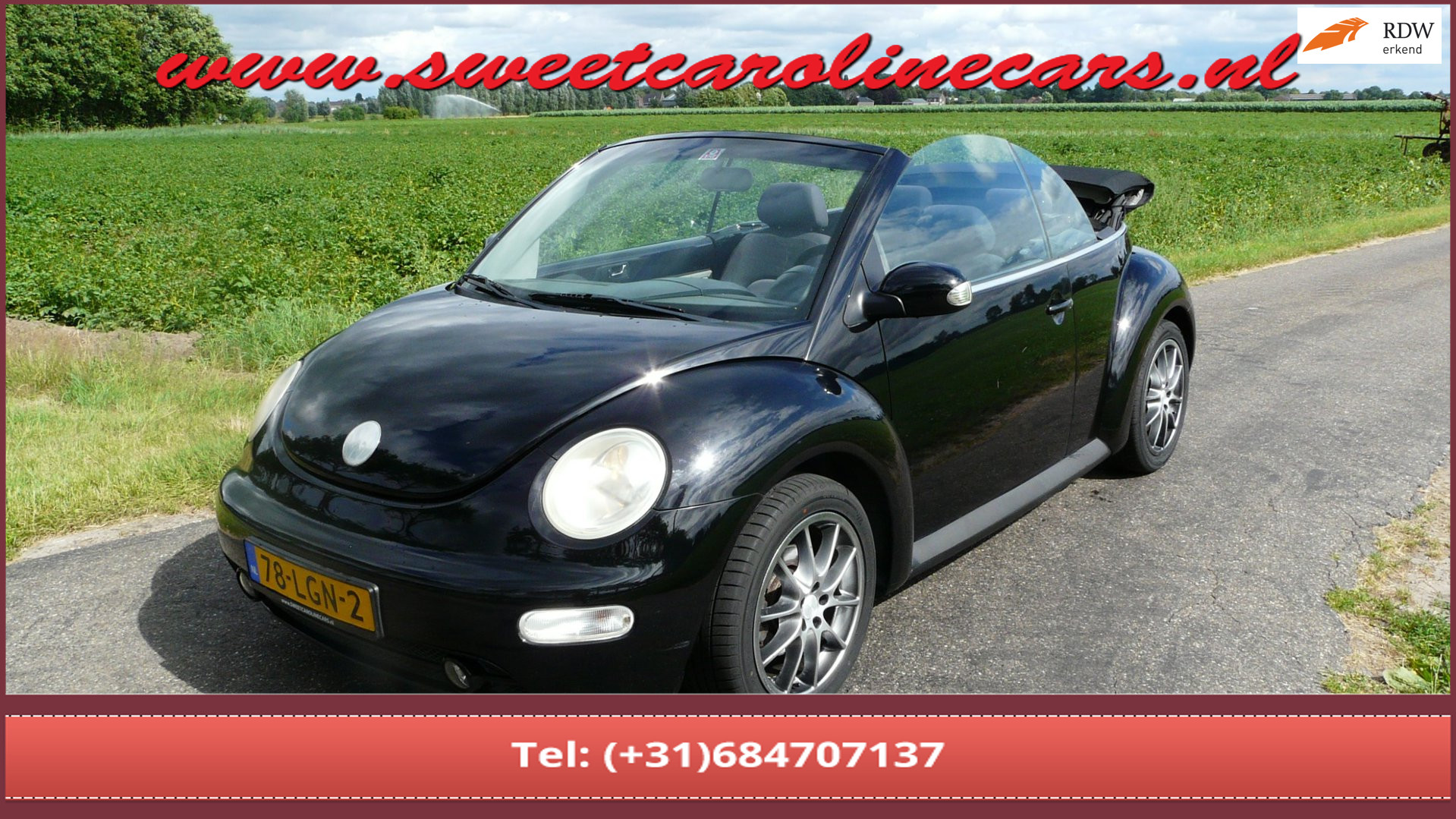 Volkswagen New Beetle Cabriolet 1.4 Highline 2003 - voorkant