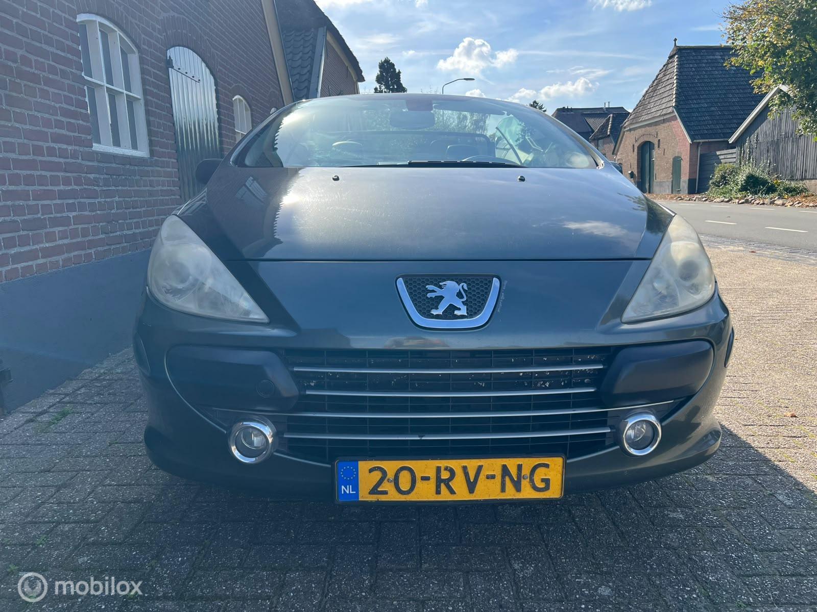 Foto van Peugeot 307