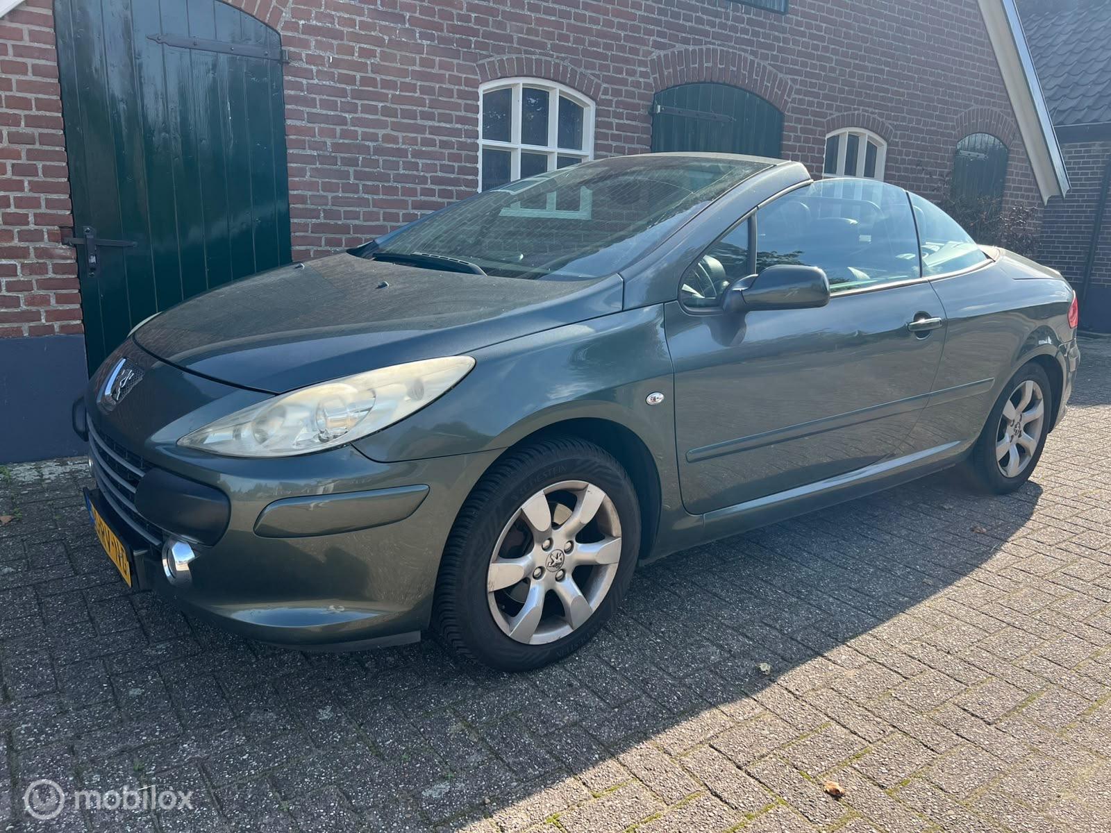 Foto van Peugeot 307