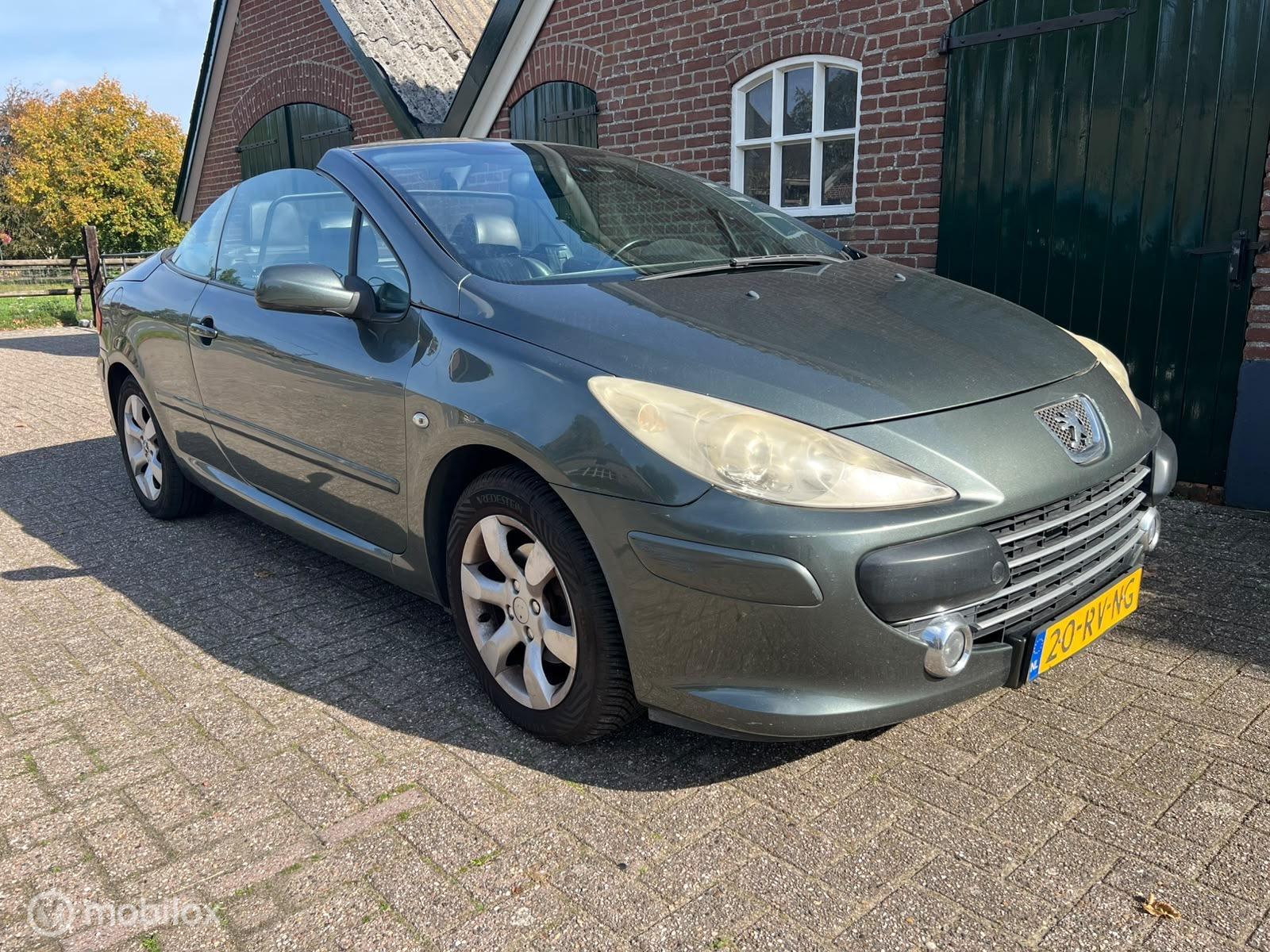 Foto van Peugeot 307