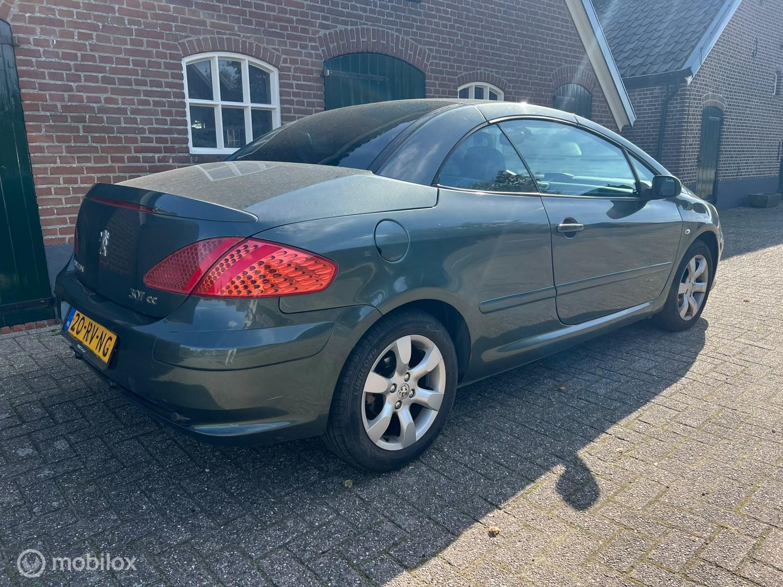 Foto van Peugeot 307