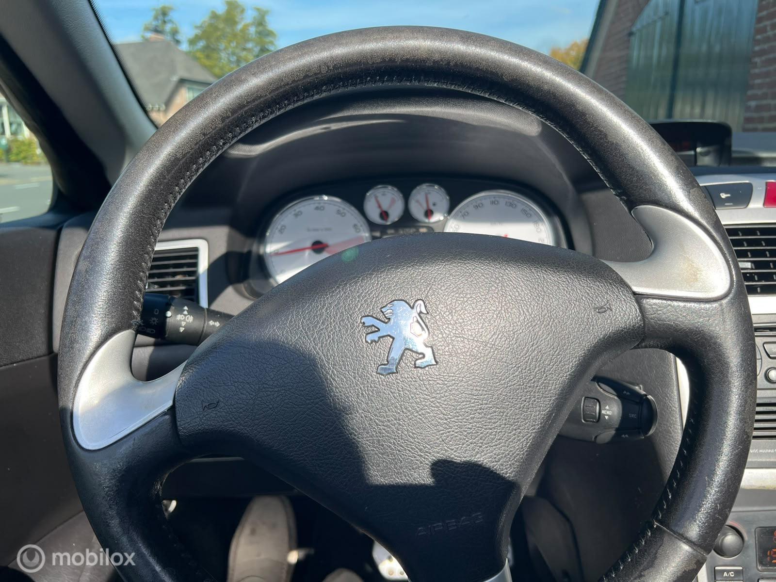 Foto van Peugeot 307