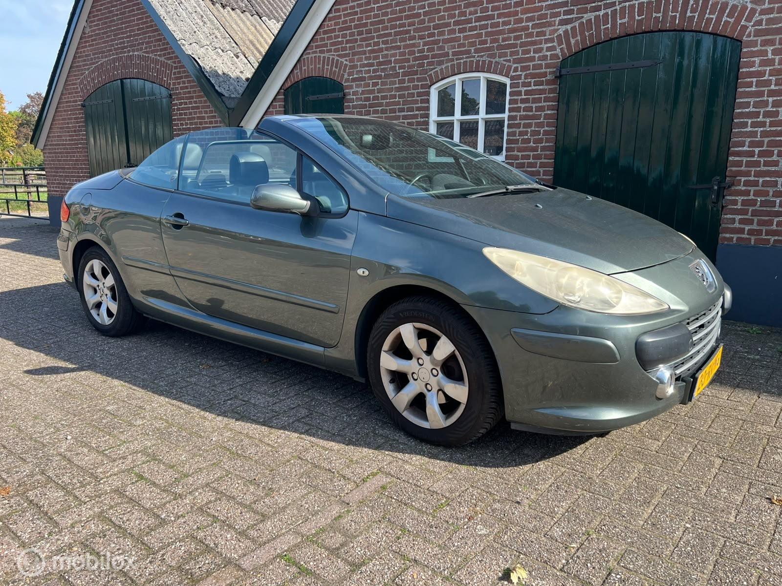Foto van Peugeot 307