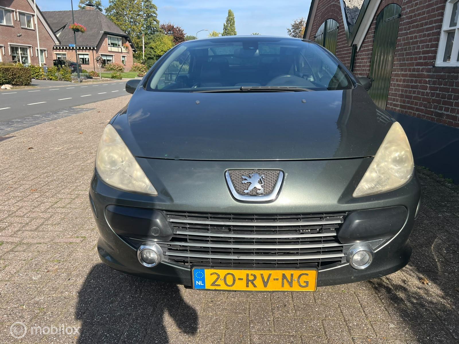 Foto van Peugeot 307