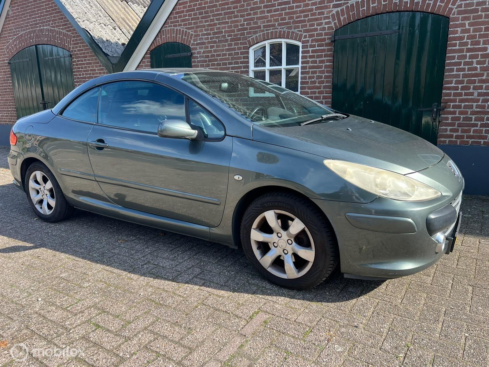 Foto van Peugeot 307