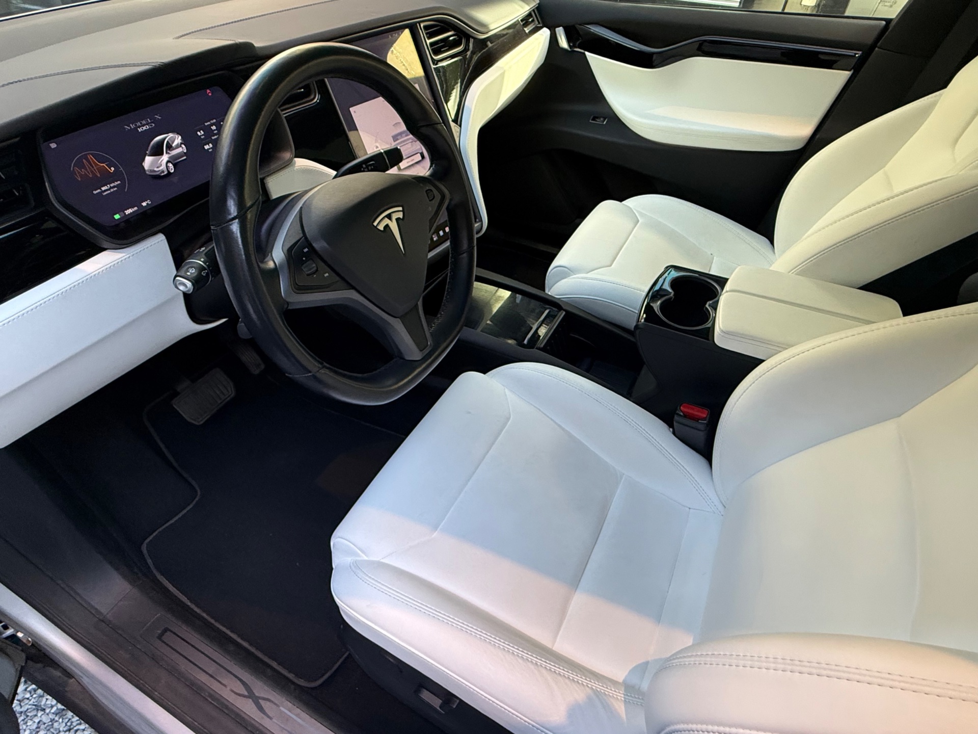 Foto van Tesla Model X