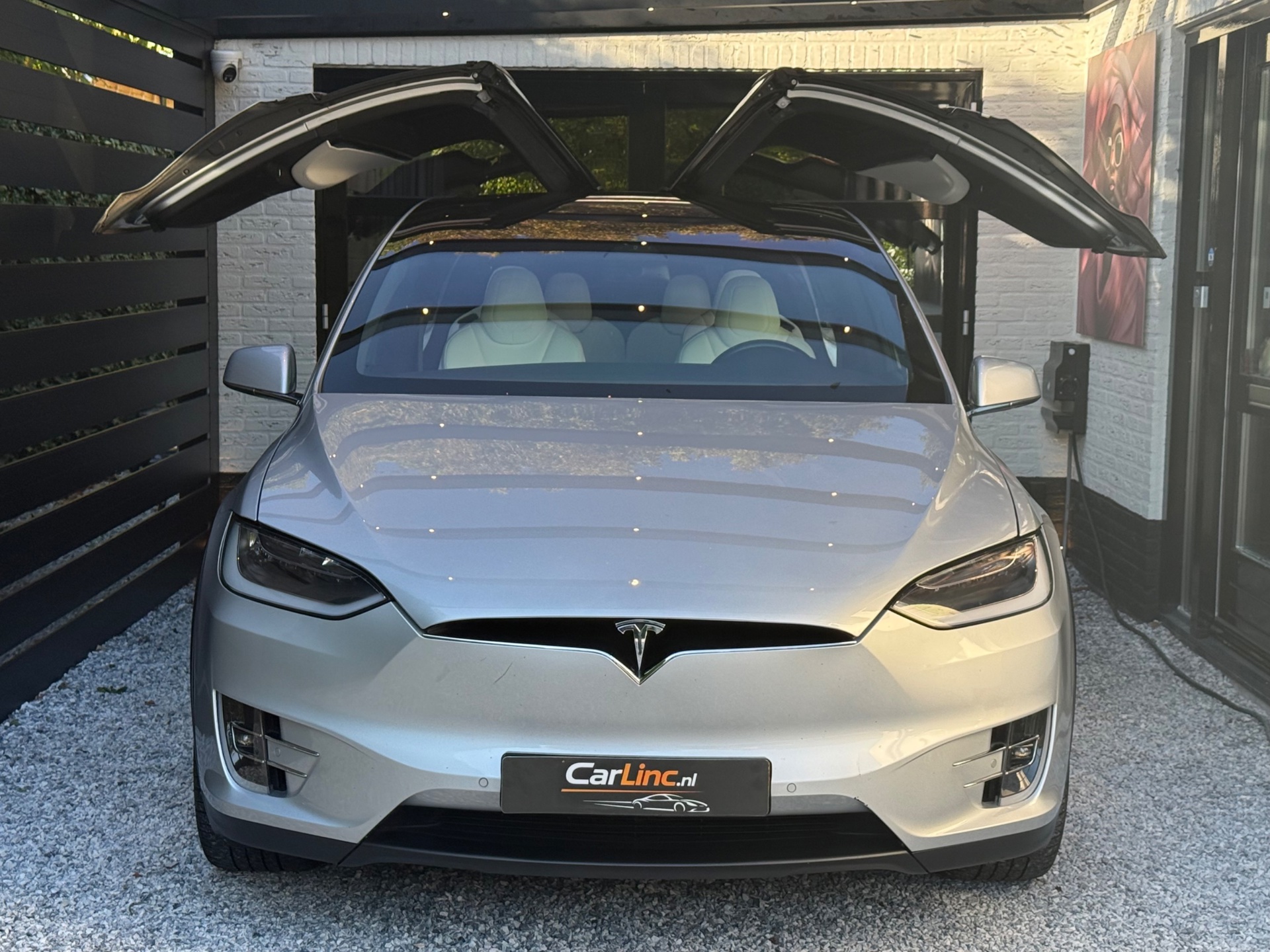 Foto van Tesla Model X