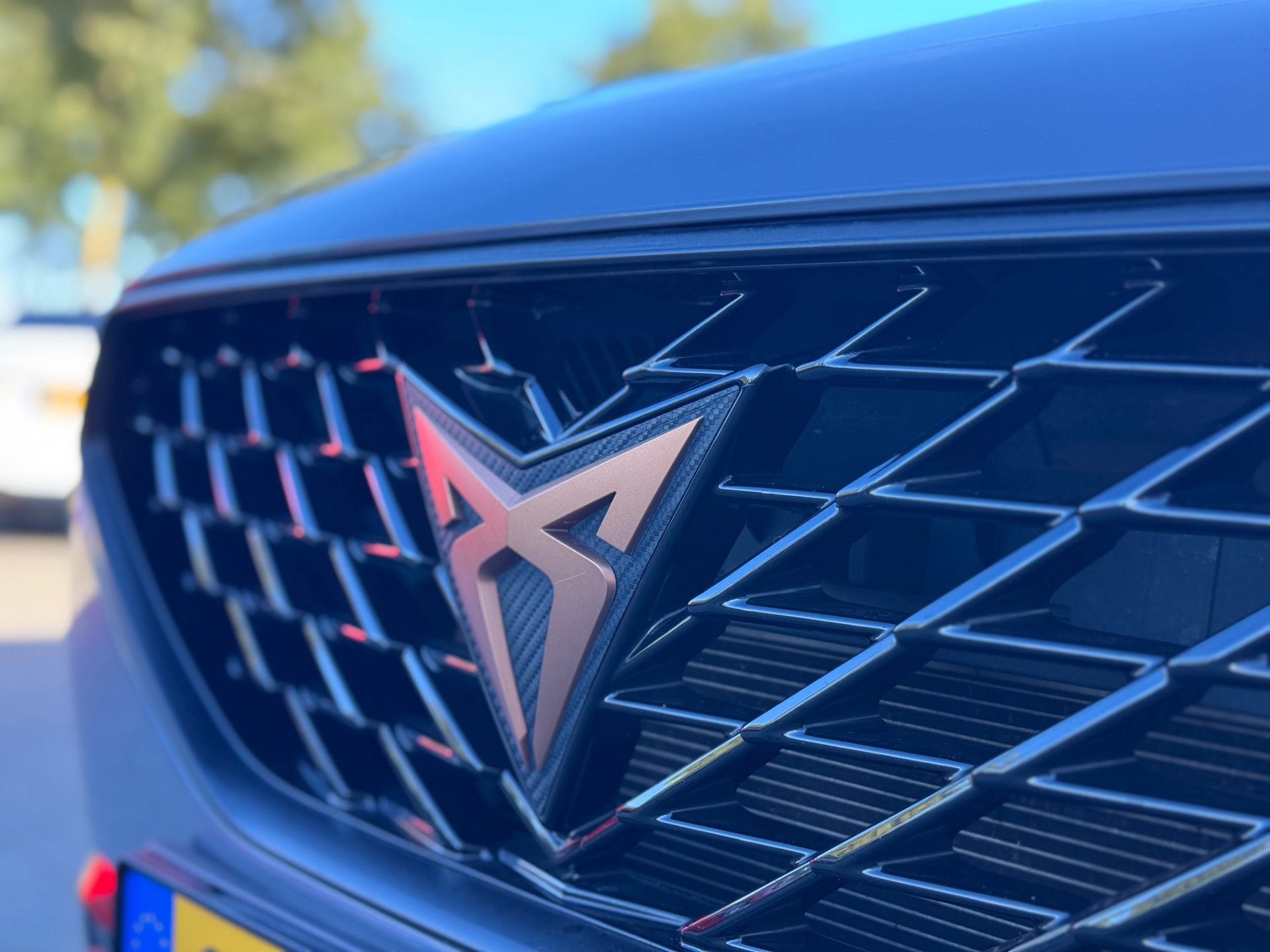 Foto van Cupra Formentor