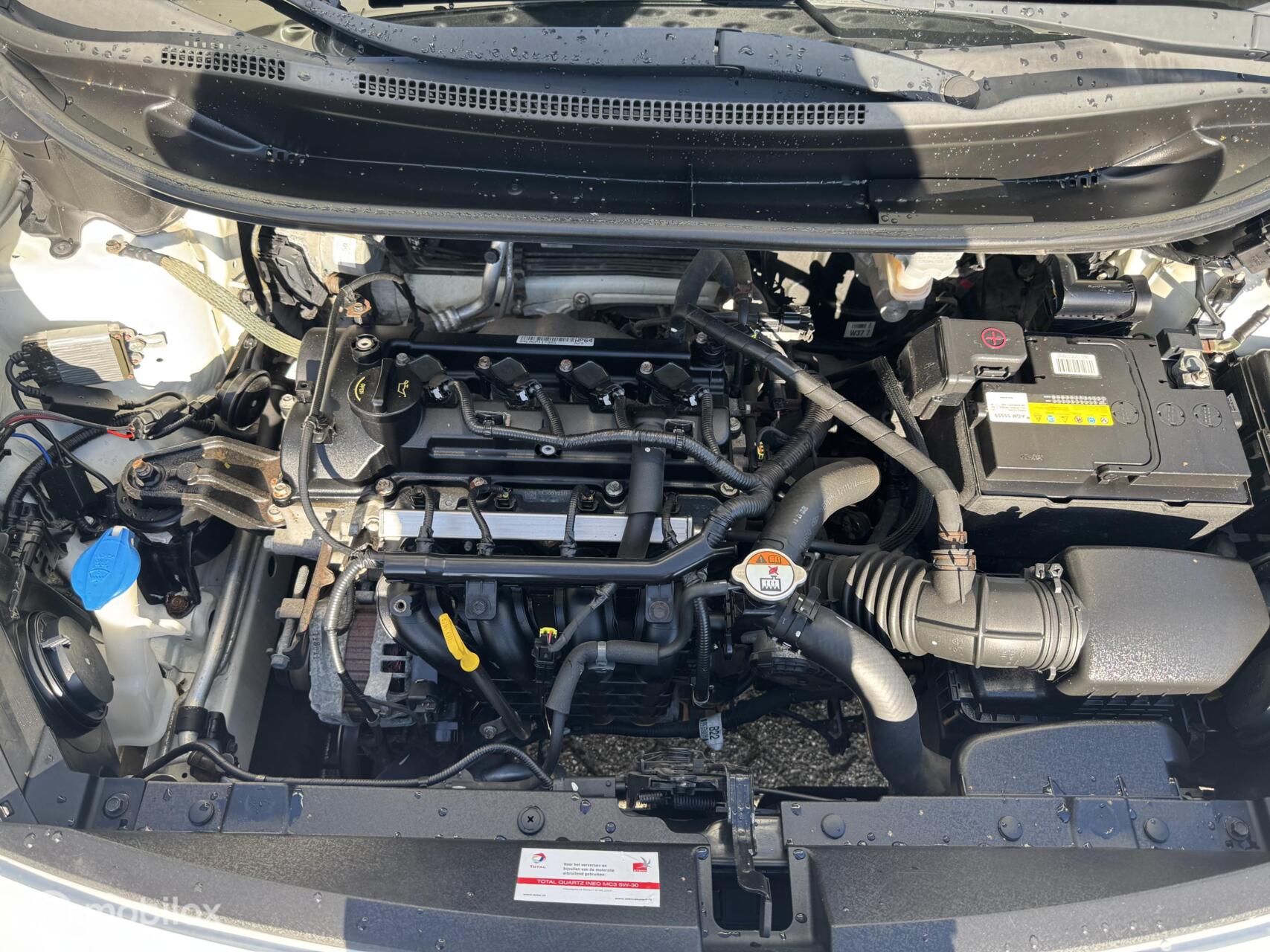 Foto van Kia Rio