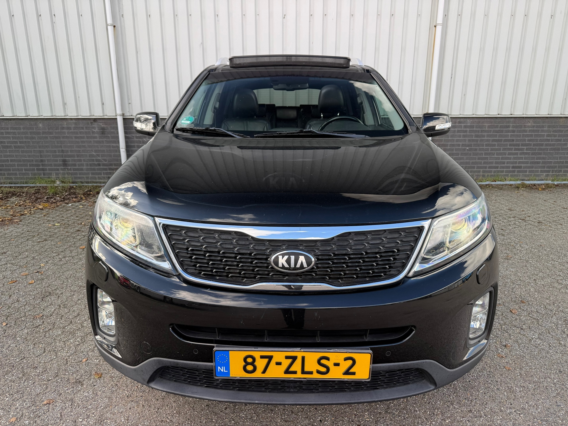 Foto van Kia Sorento