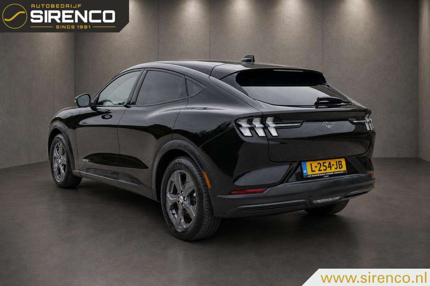 Foto van Ford Mustang Mach-e