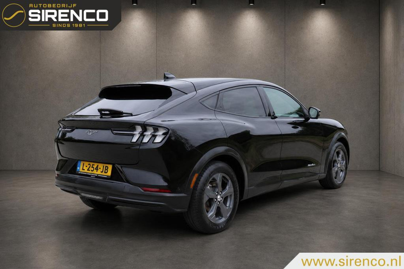 Foto van Ford Mustang Mach-e