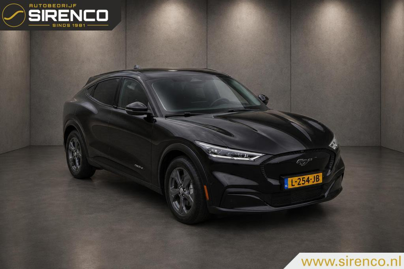 Foto van Ford Mustang Mach-e