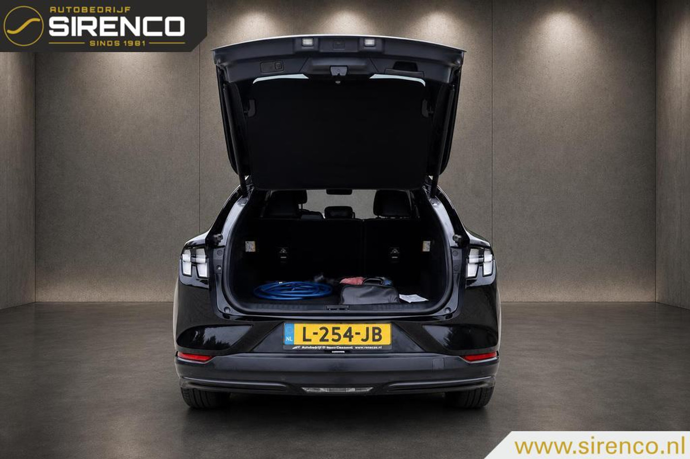 Foto van Ford Mustang Mach-e