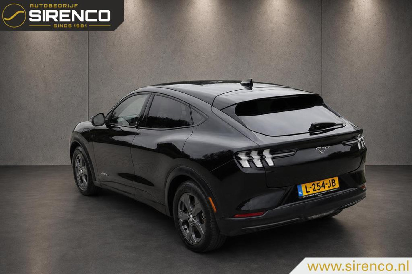 Foto van Ford Mustang Mach-e