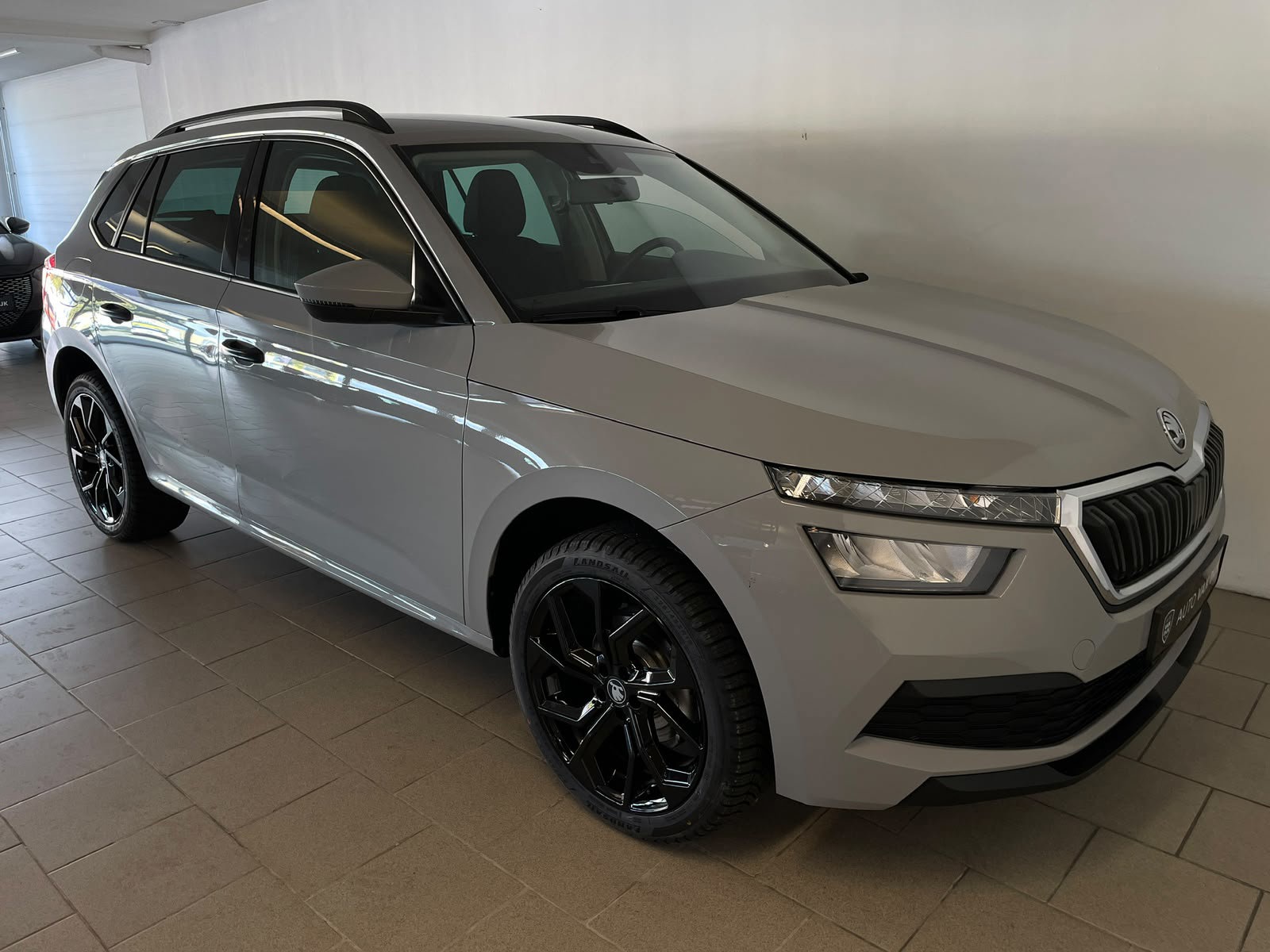 Foto van Skoda Kamiq