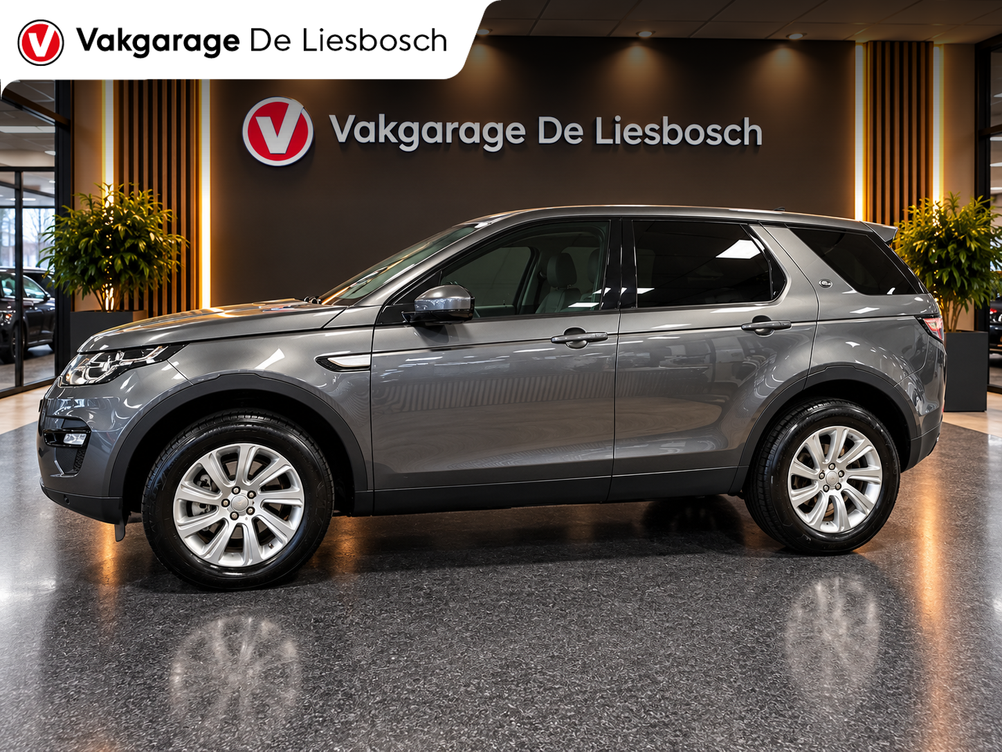 Foto van Land Rover Discovery Sport