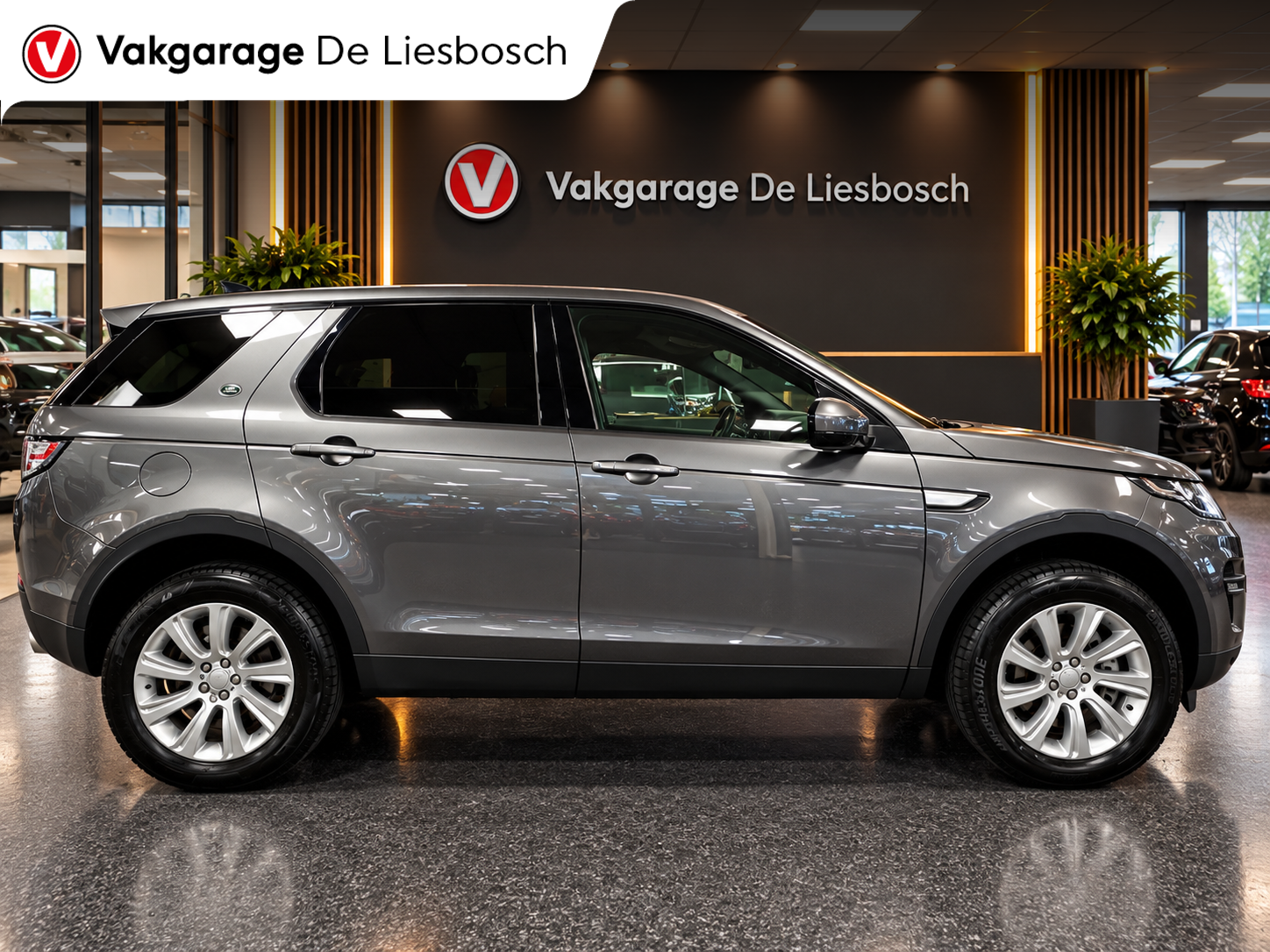 Foto van Land Rover Discovery Sport