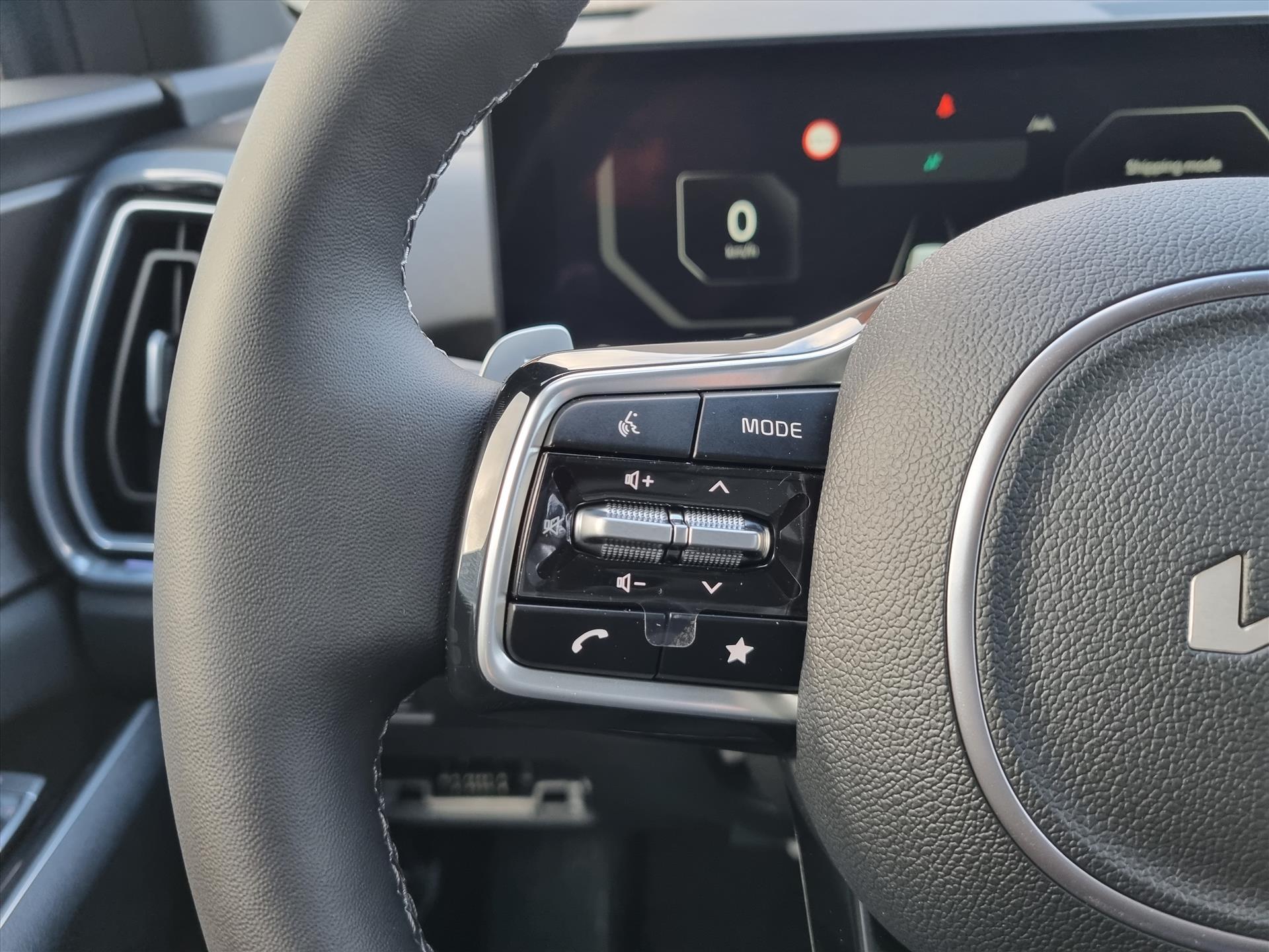 Foto van Kia Sorento