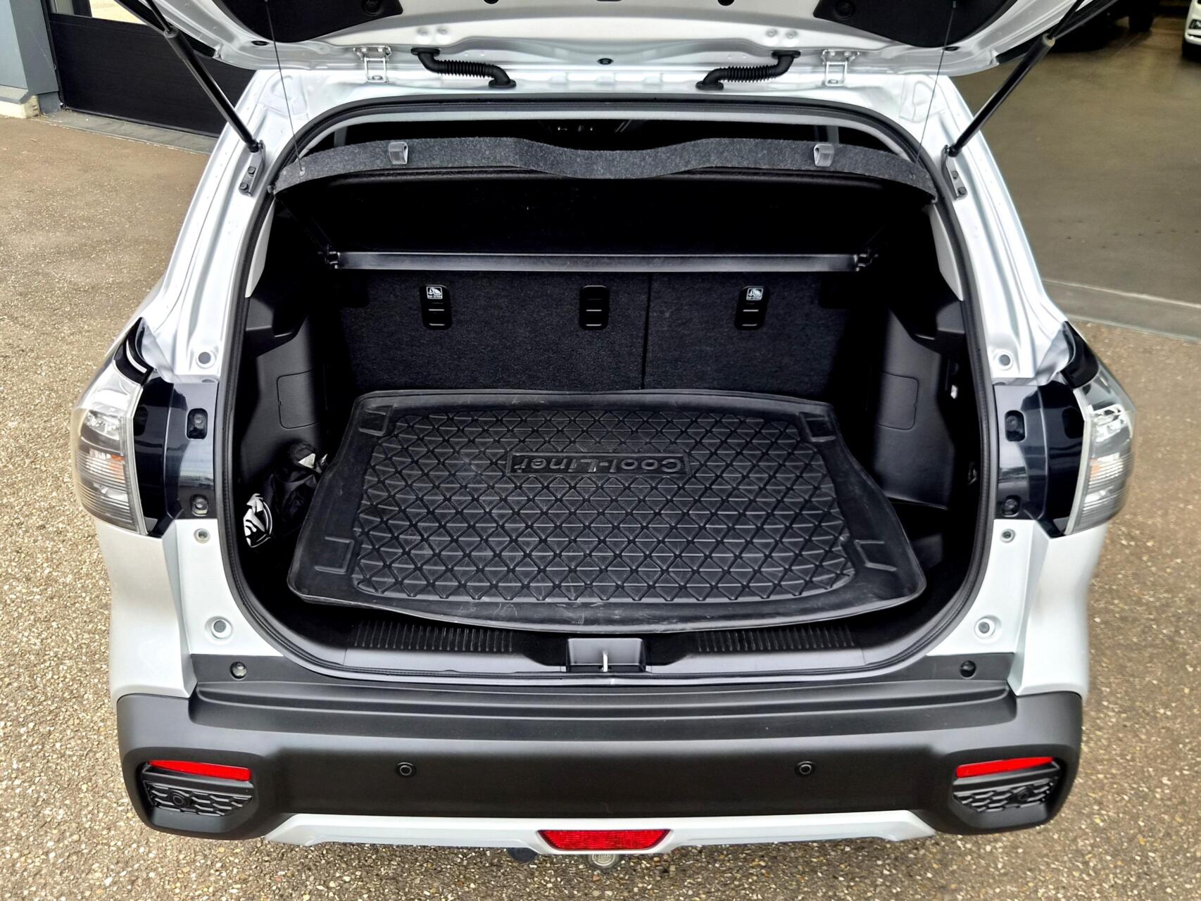 Foto van Suzuki S-cross