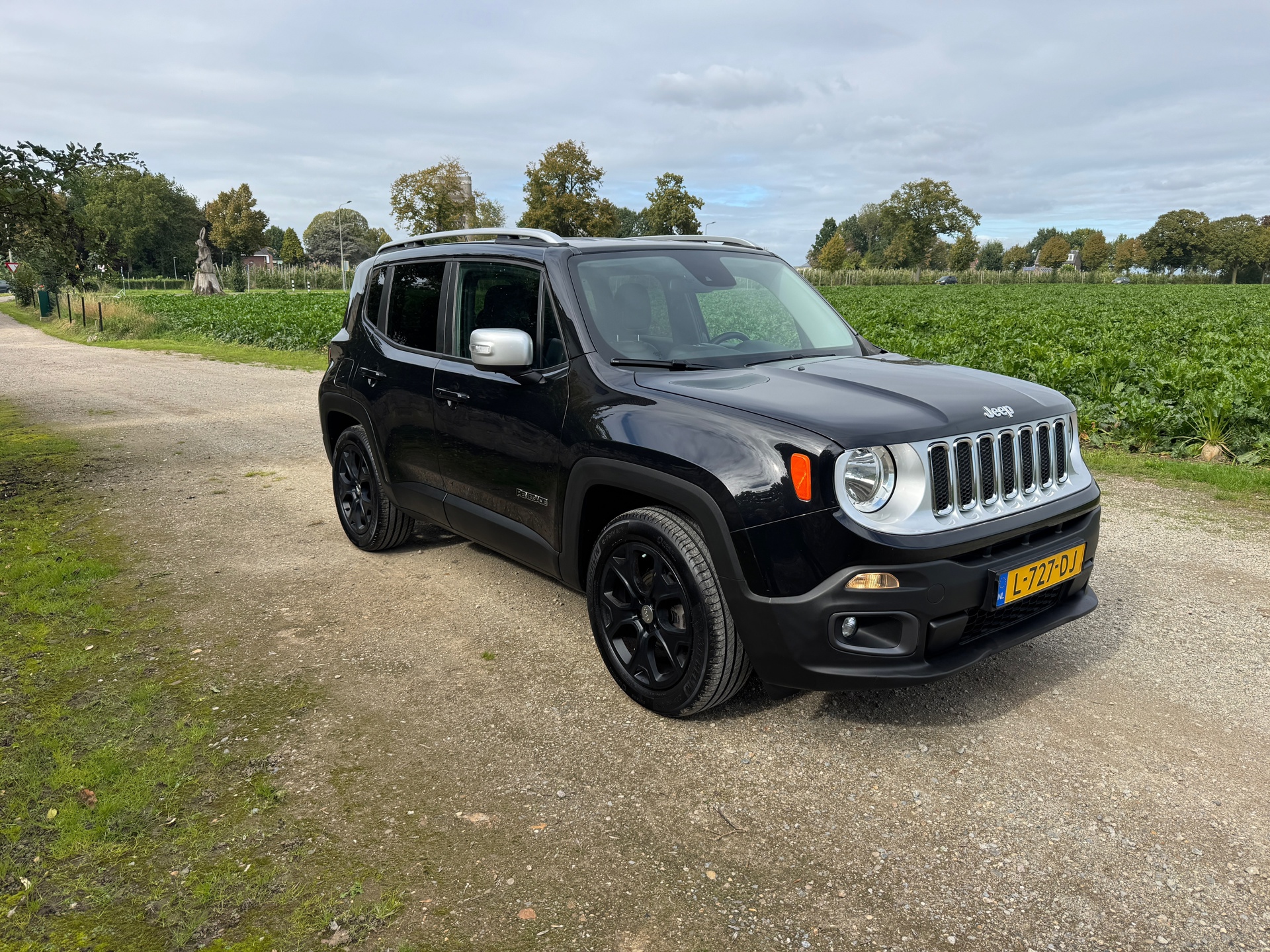 Foto van Jeep Renegade