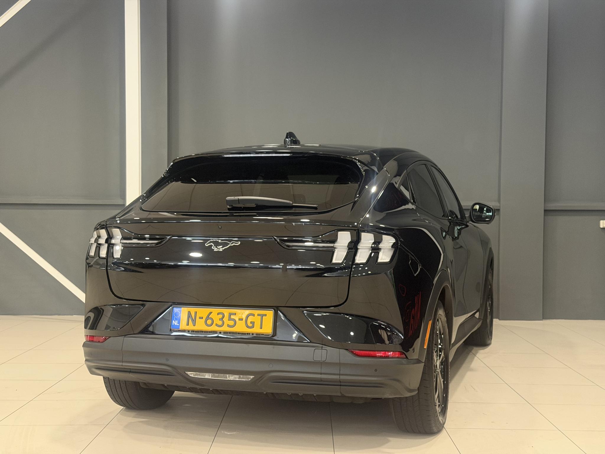 Foto van Ford Mustang Mach-e