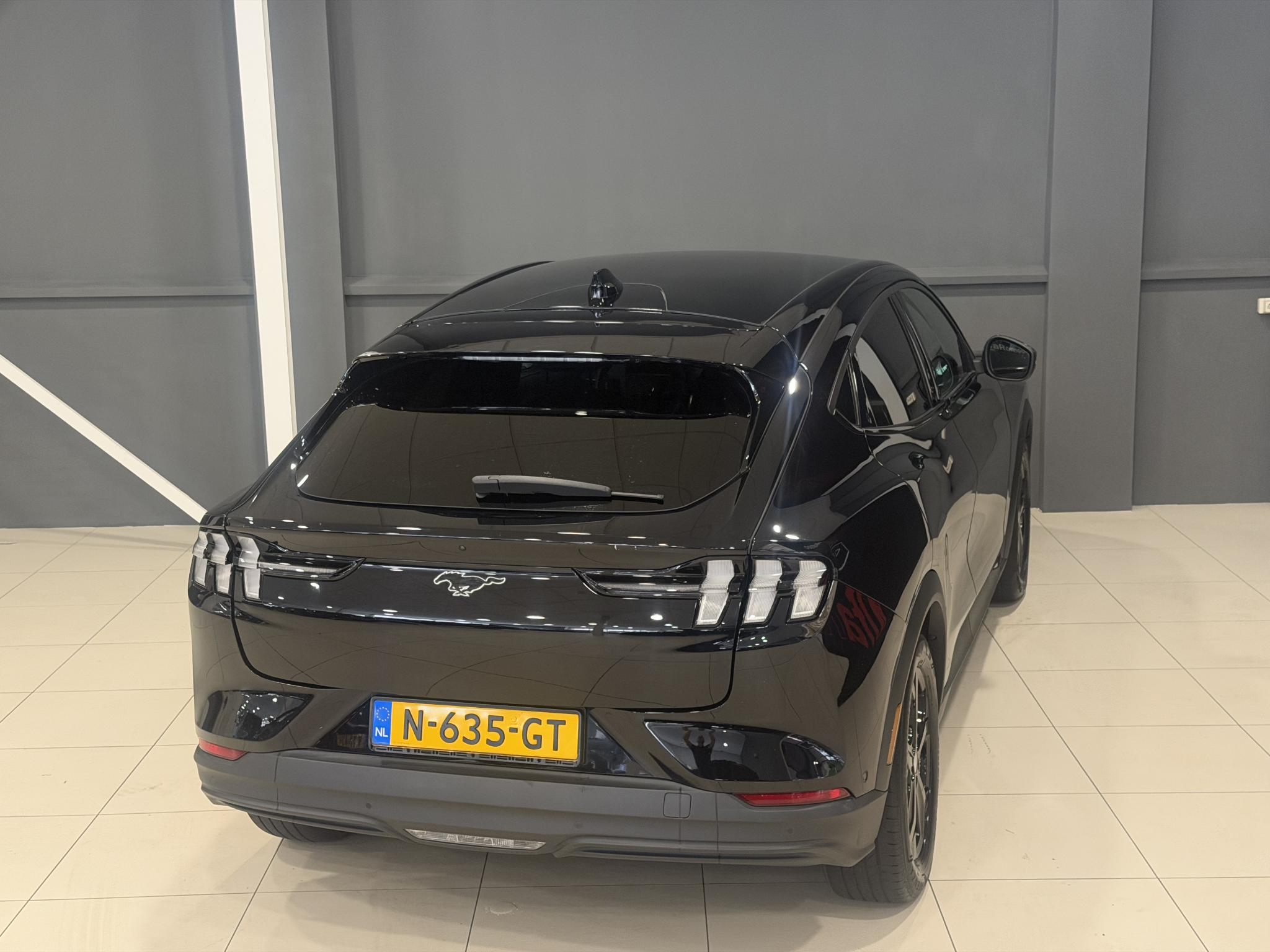 Foto van Ford Mustang Mach-e