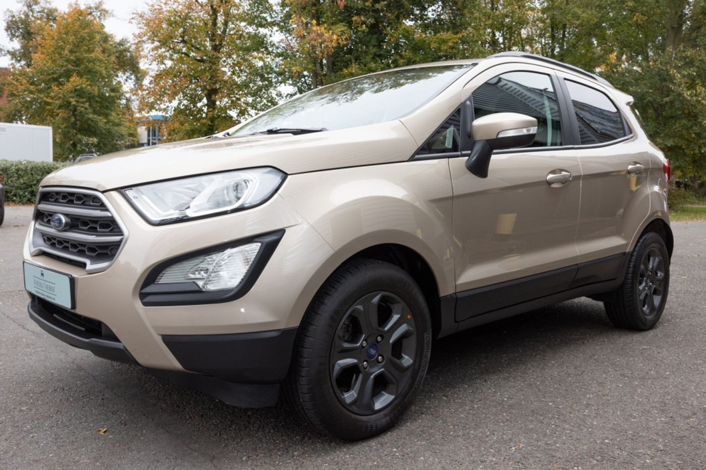 Foto van Ford Ecosport