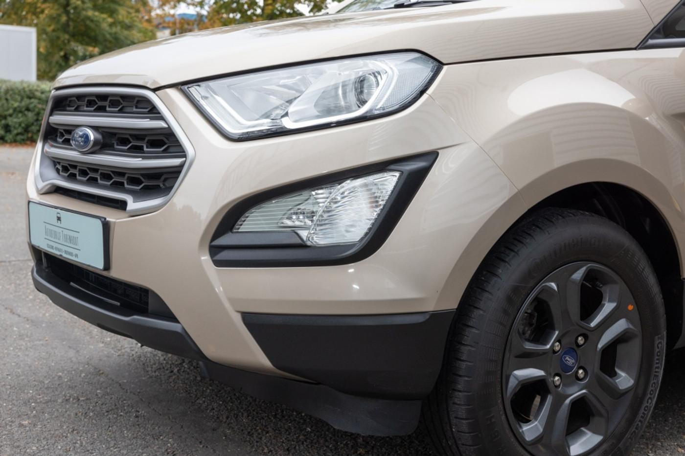 Foto van Ford Ecosport