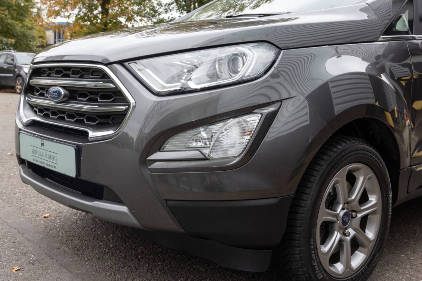 Foto van Ford Ecosport