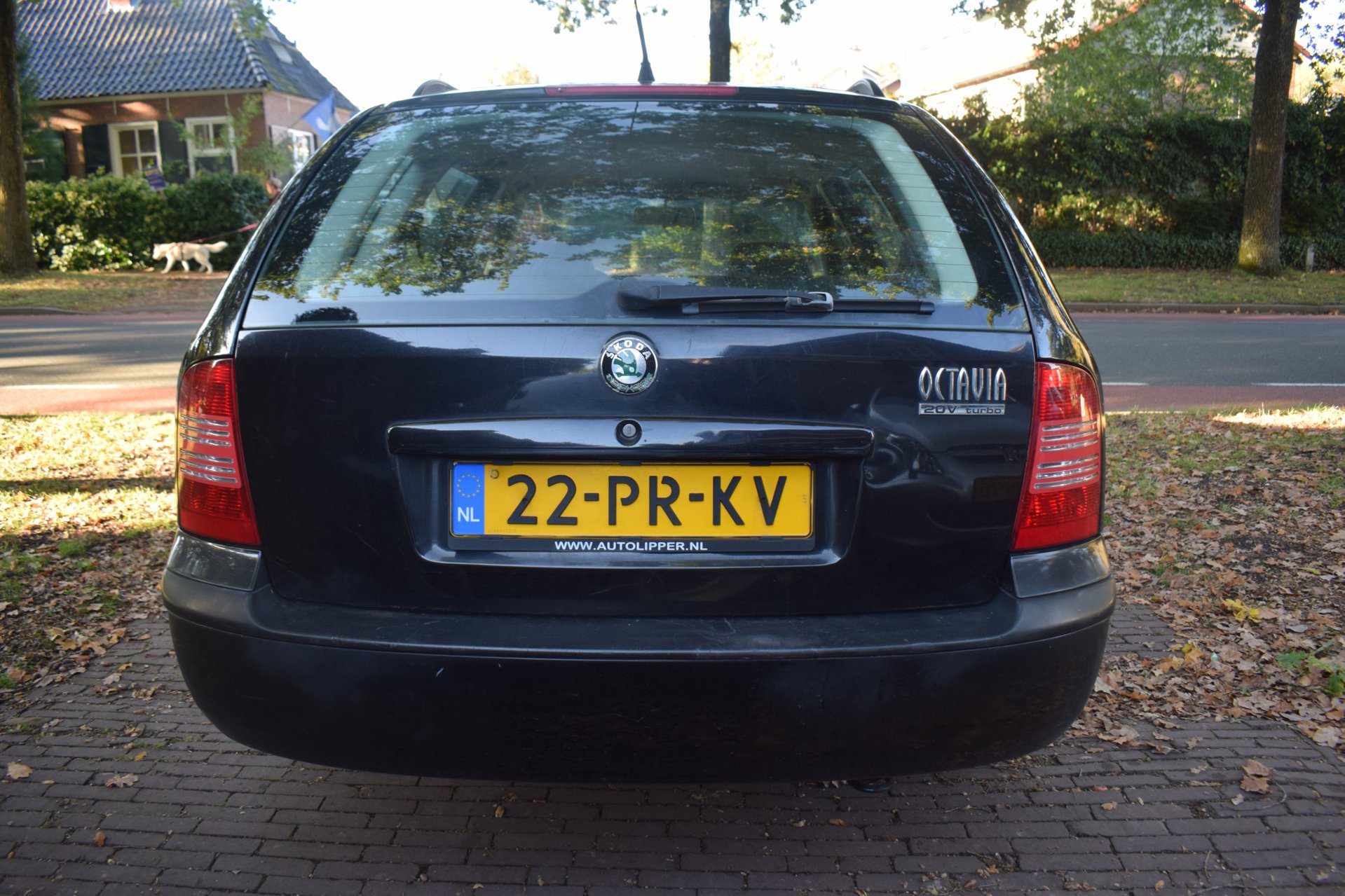 Foto van Skoda Octavia