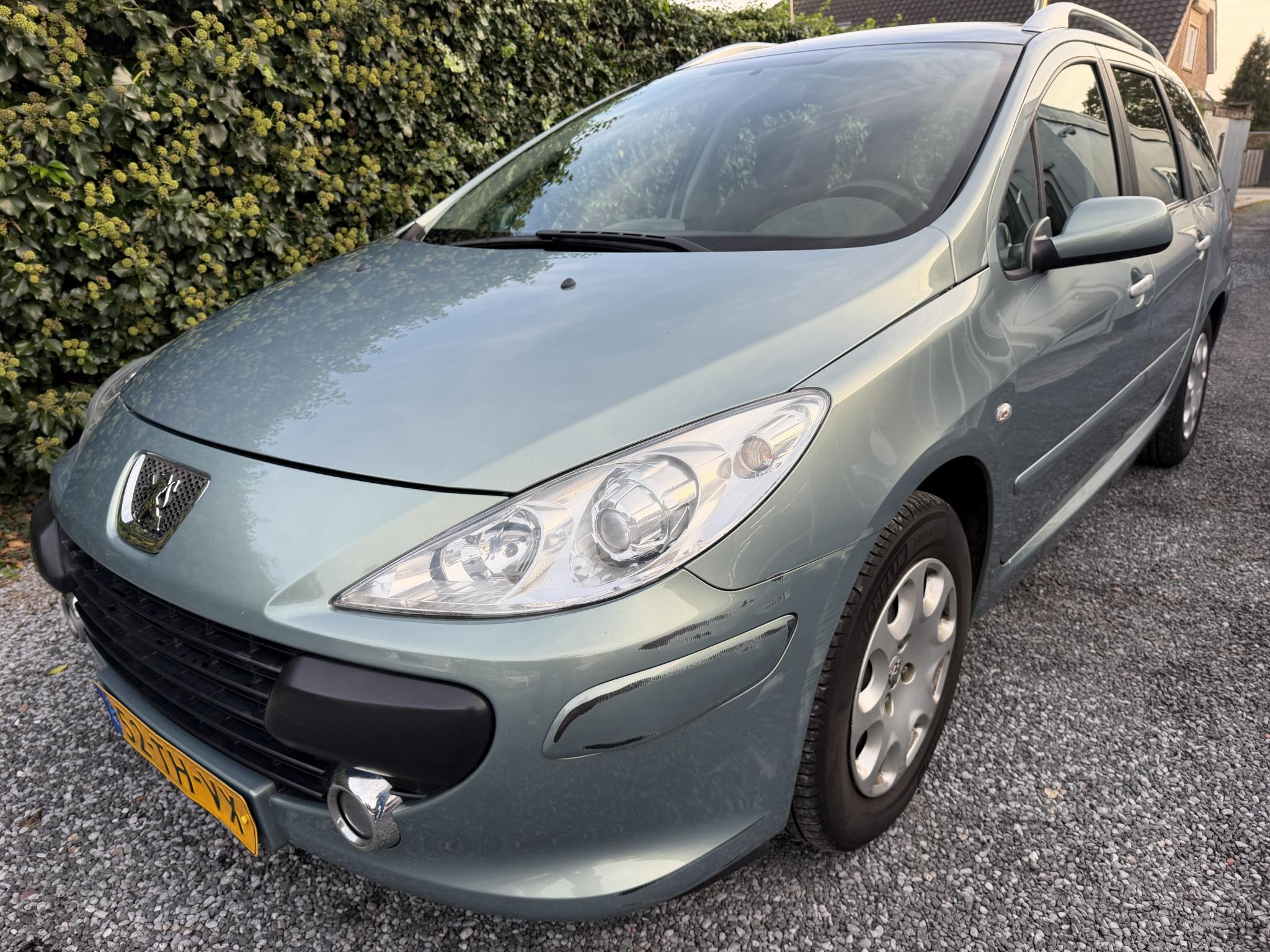 Foto van Peugeot 307